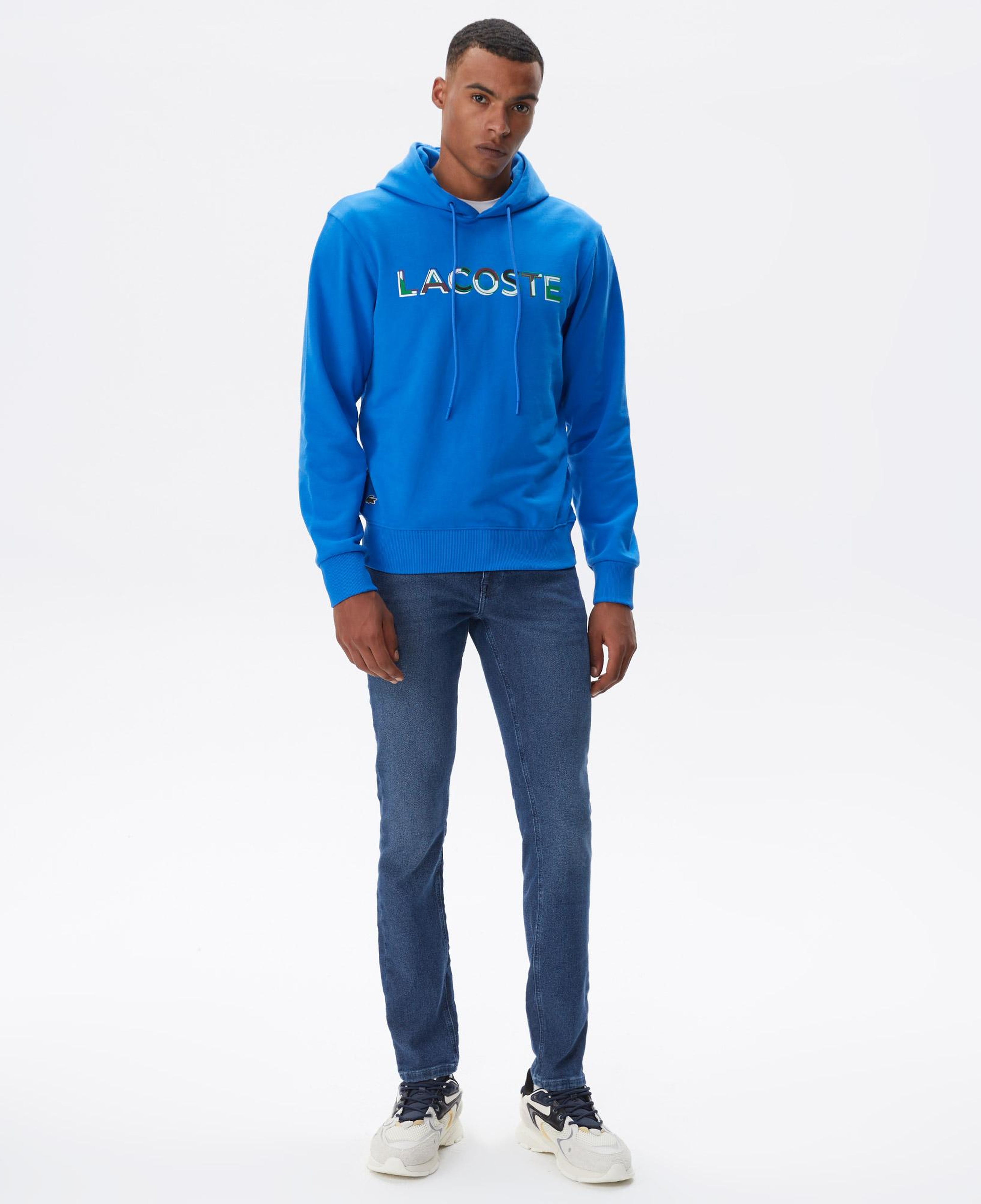 Erkek Regular Fit Kapüşonlu Baskılı Mavi Sweatshirt