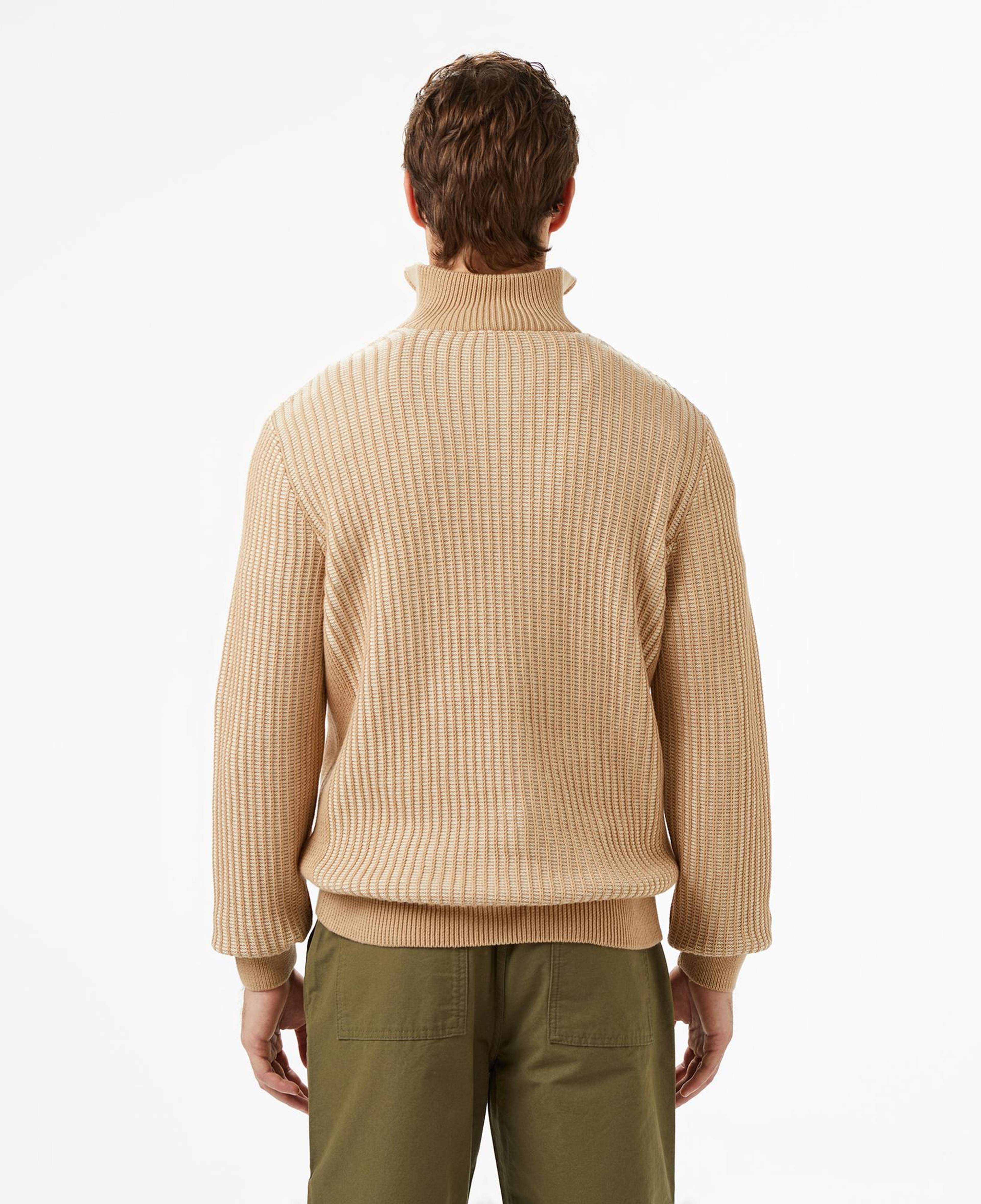 Lacoste Erkek Süveter