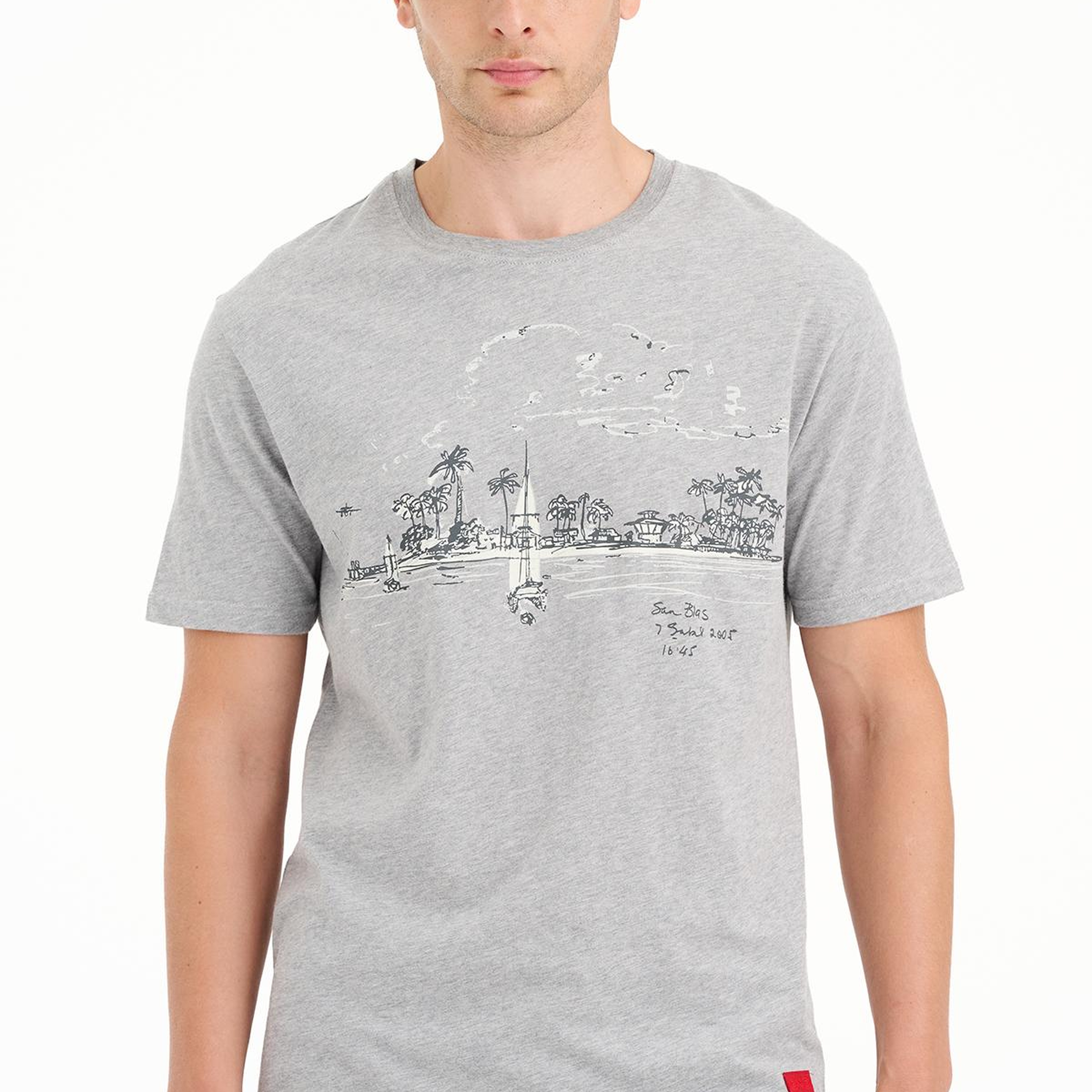 Erkek Gri St Blas Baskılı Bisiklet Yaka  T-Shirt