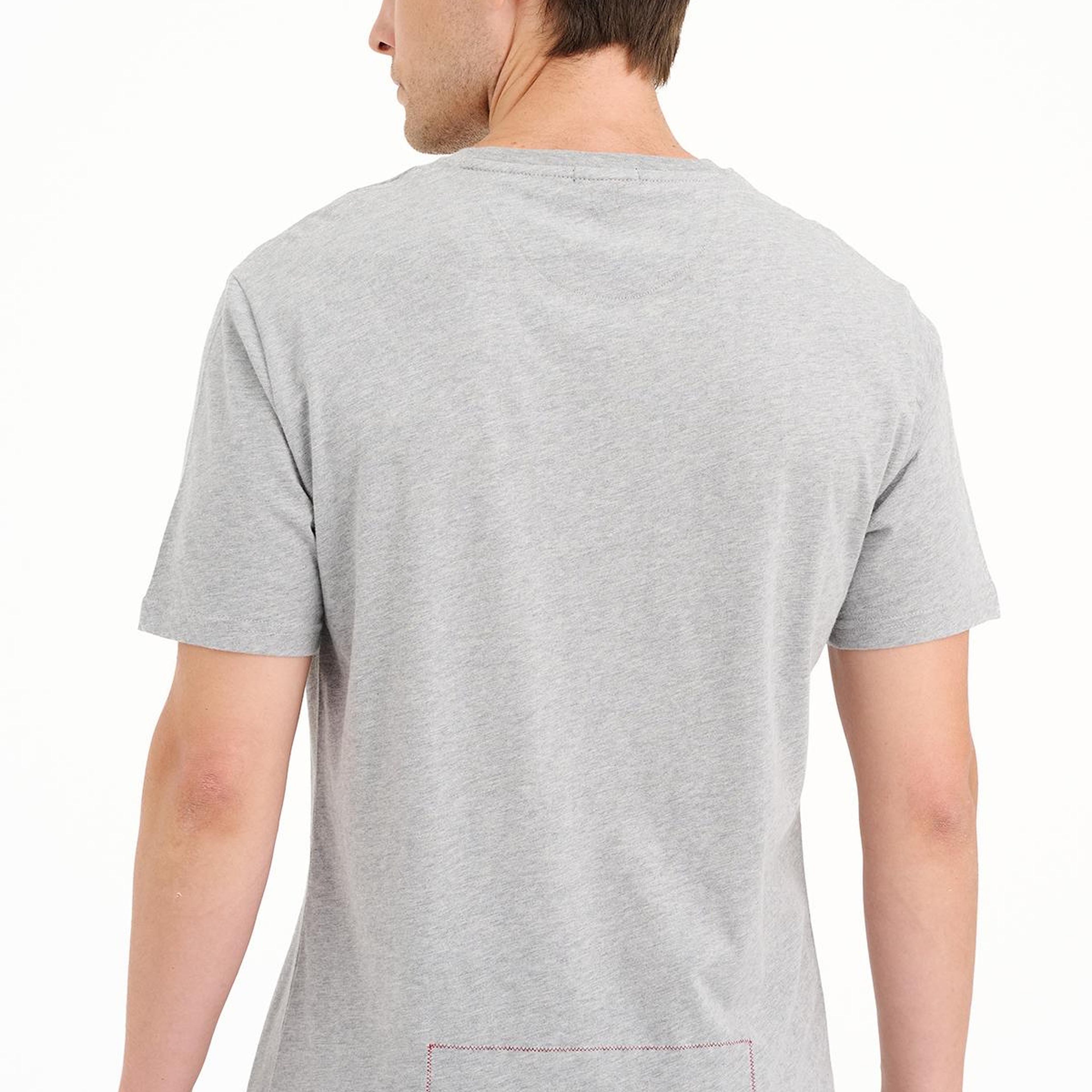 Erkek Gri Ada Baskılı Bisiklet Yaka T-Shirt
