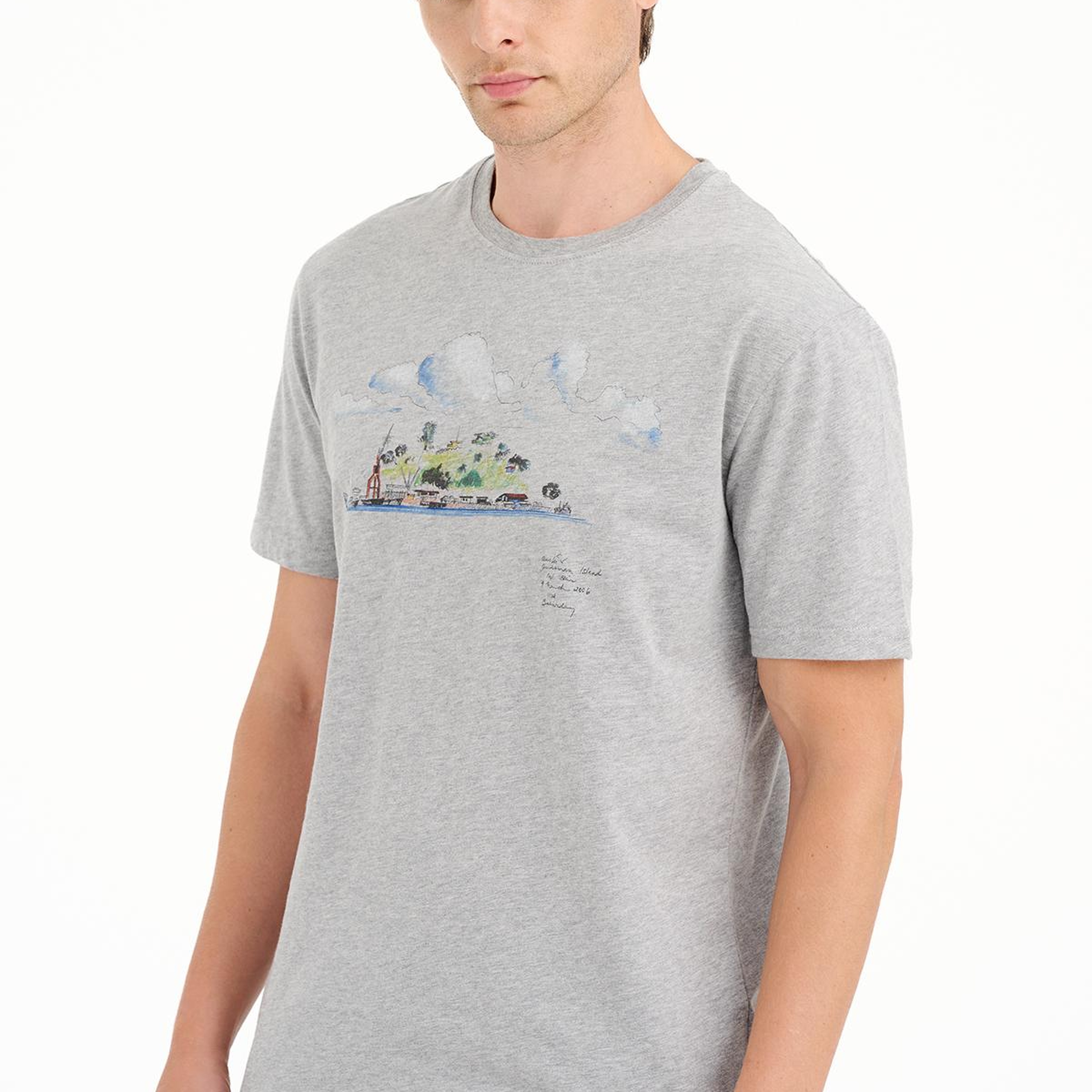 Erkek Gri Ada Baskılı Bisiklet Yaka T-Shirt