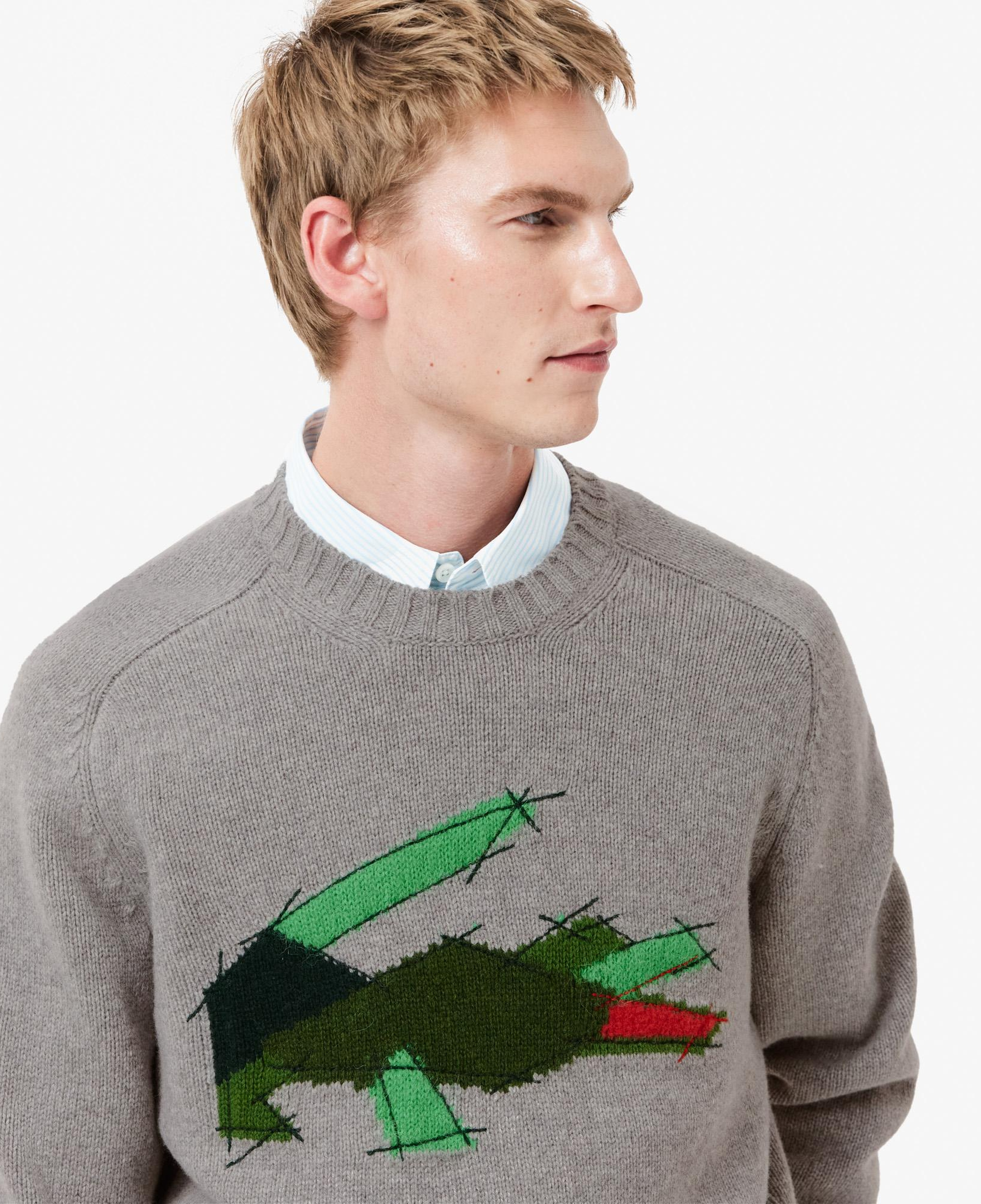 Erkek Classic Fit Bisiklet Yaka Yün Gri Kazak