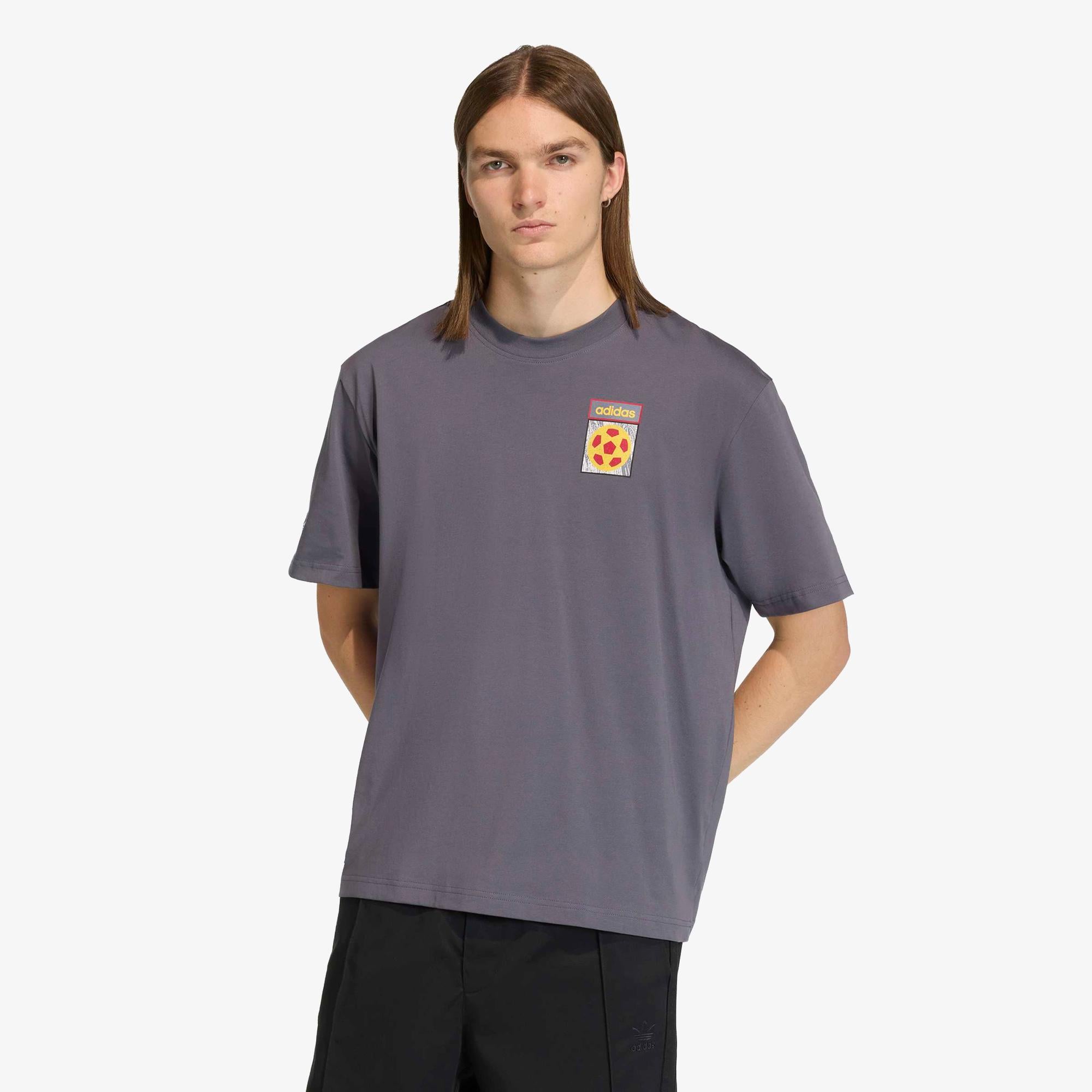 adidas Flag Gfx Erkek Gri T-Shirt
