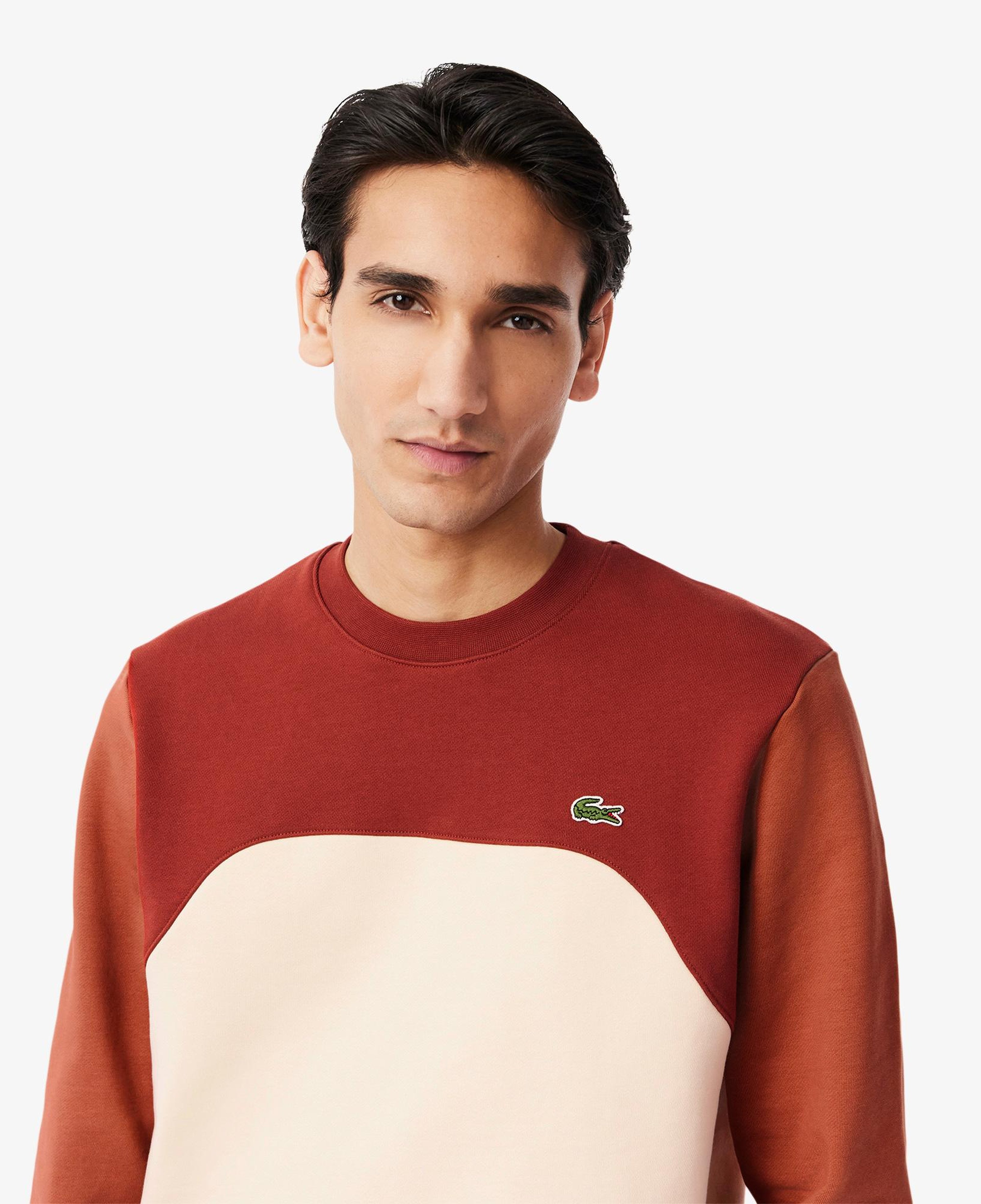 Erkek Classic Fit Bisiklet Yaka Renk Bloklu Bordo Sweatshirt