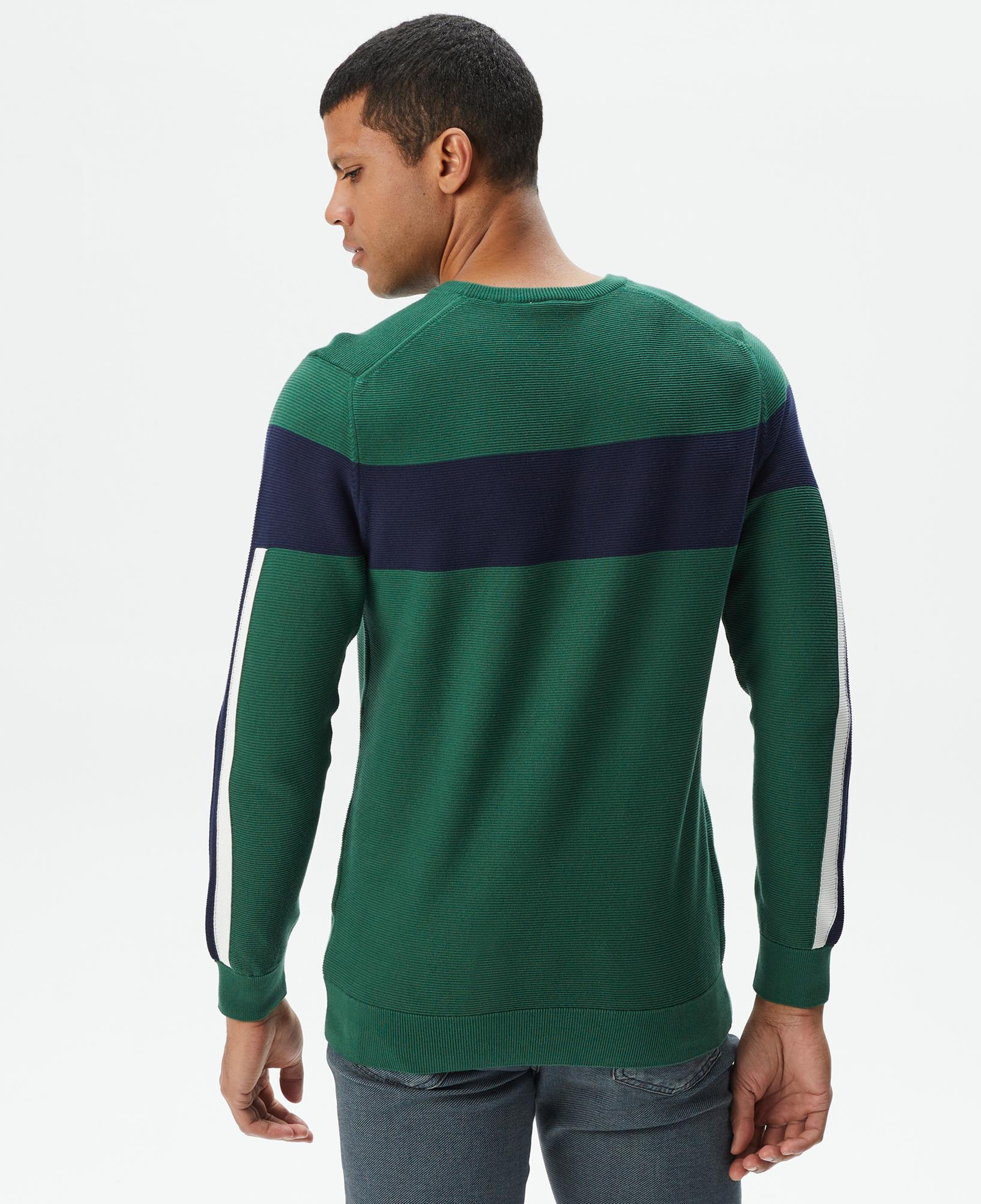Lacoste Erkek Regular Fit Bisiklet Yaka Renk Bloklu Yeşil Kazak