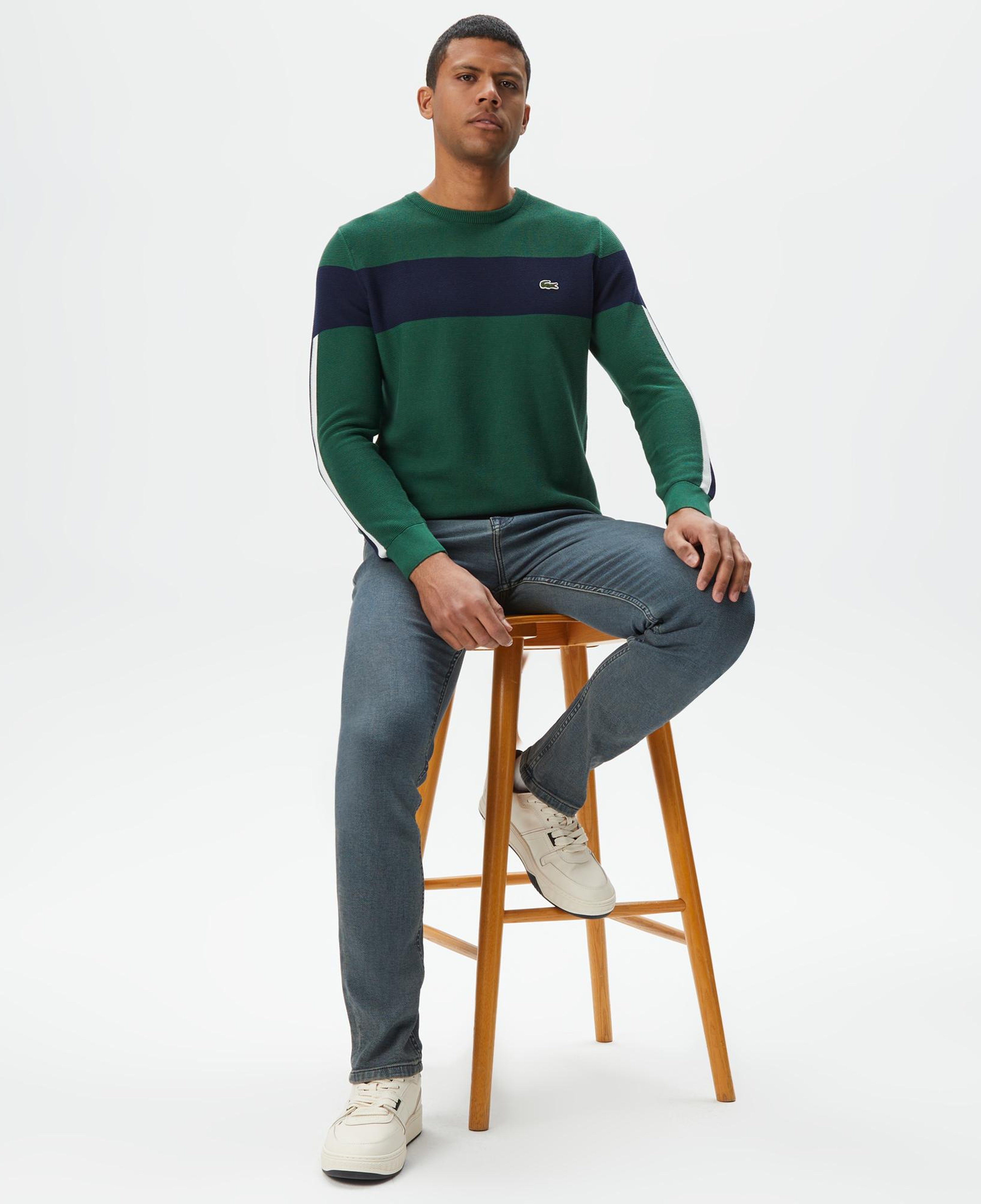 Lacoste Erkek Regular Fit Bisiklet Yaka Renk Bloklu Yeşil Kazak