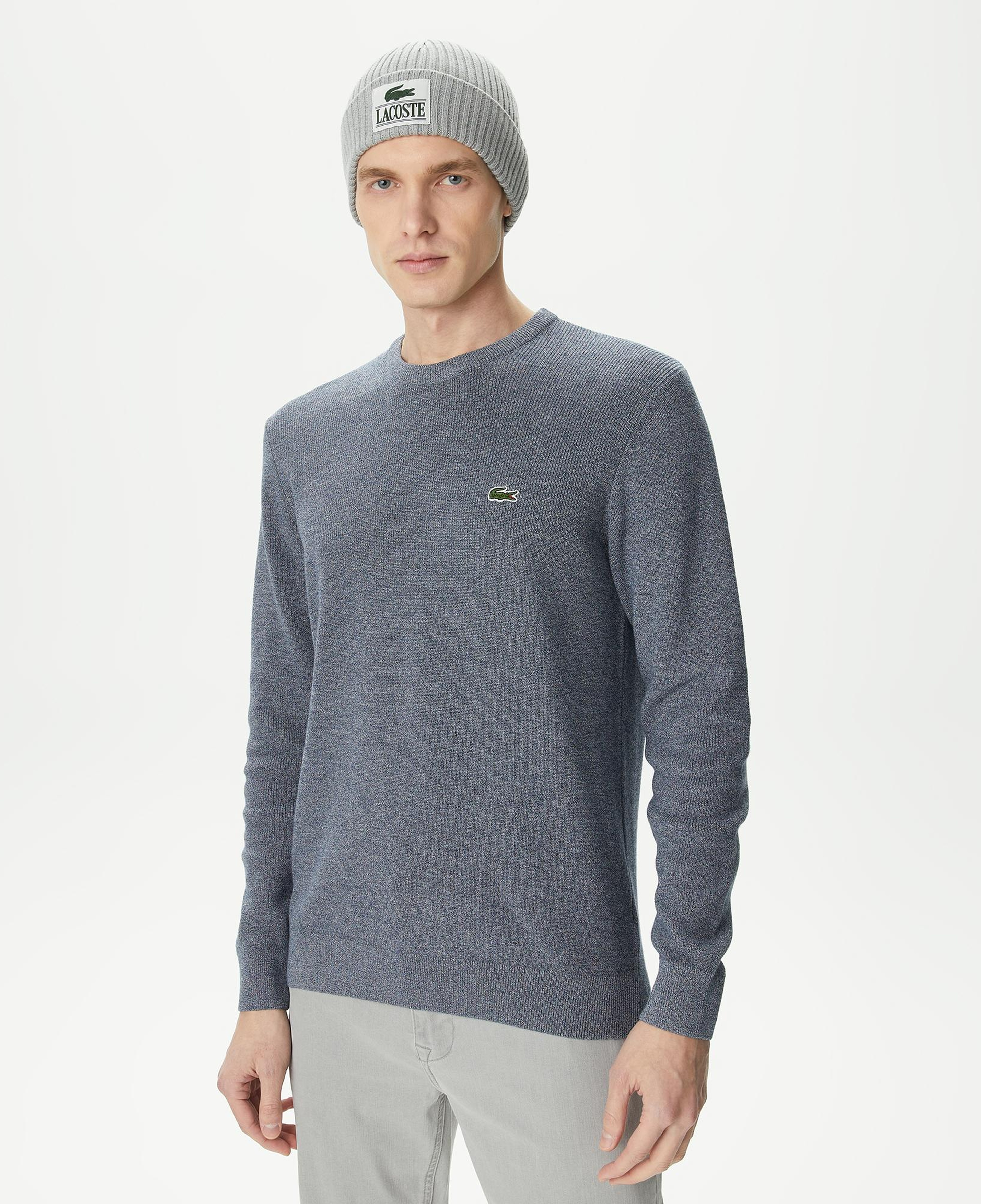 Erkek Regular Fit Bisiklet Yaka Gri Kazak