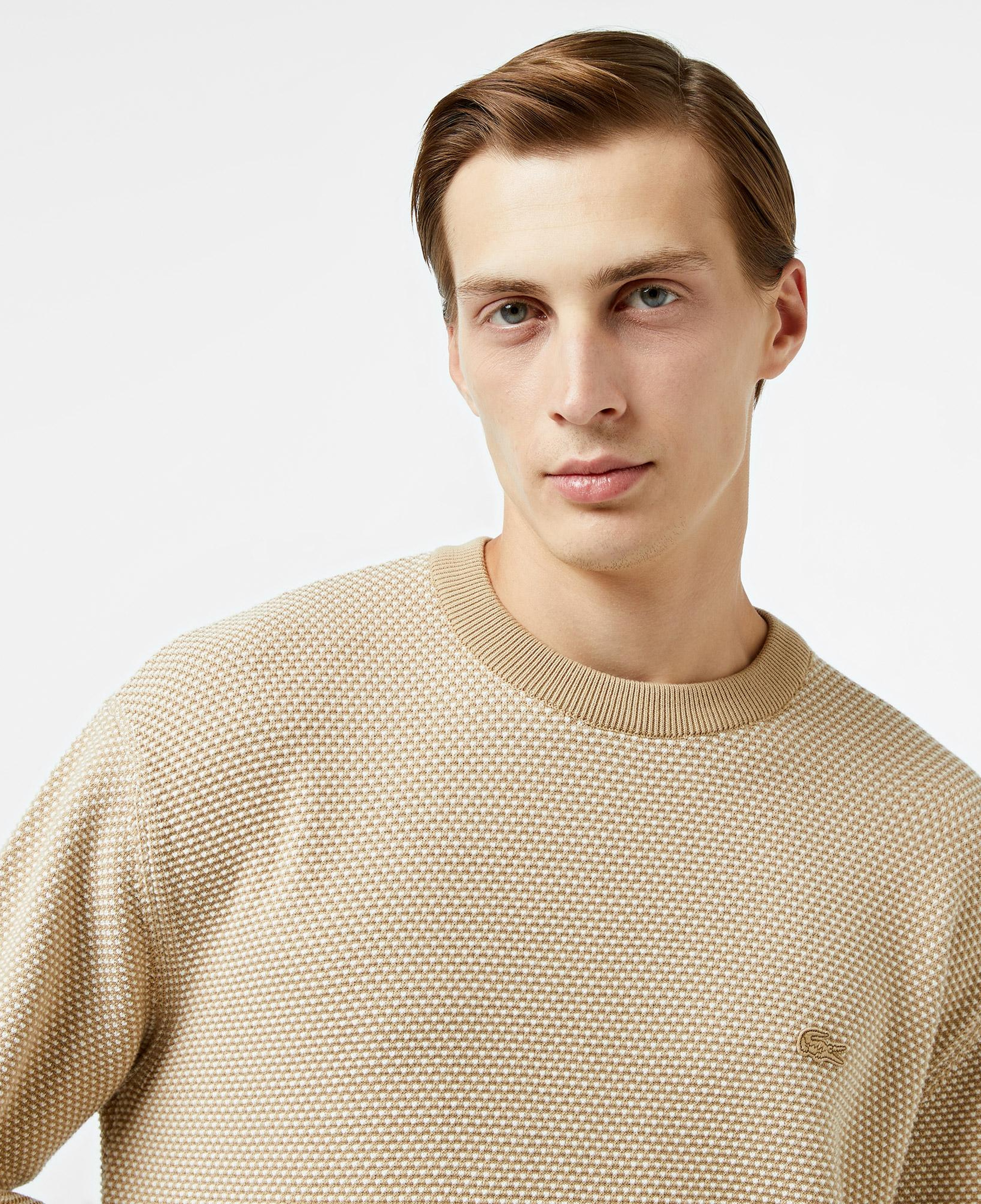 Erkek Relaxed Fit Bisiklet Yaka Bej Triko