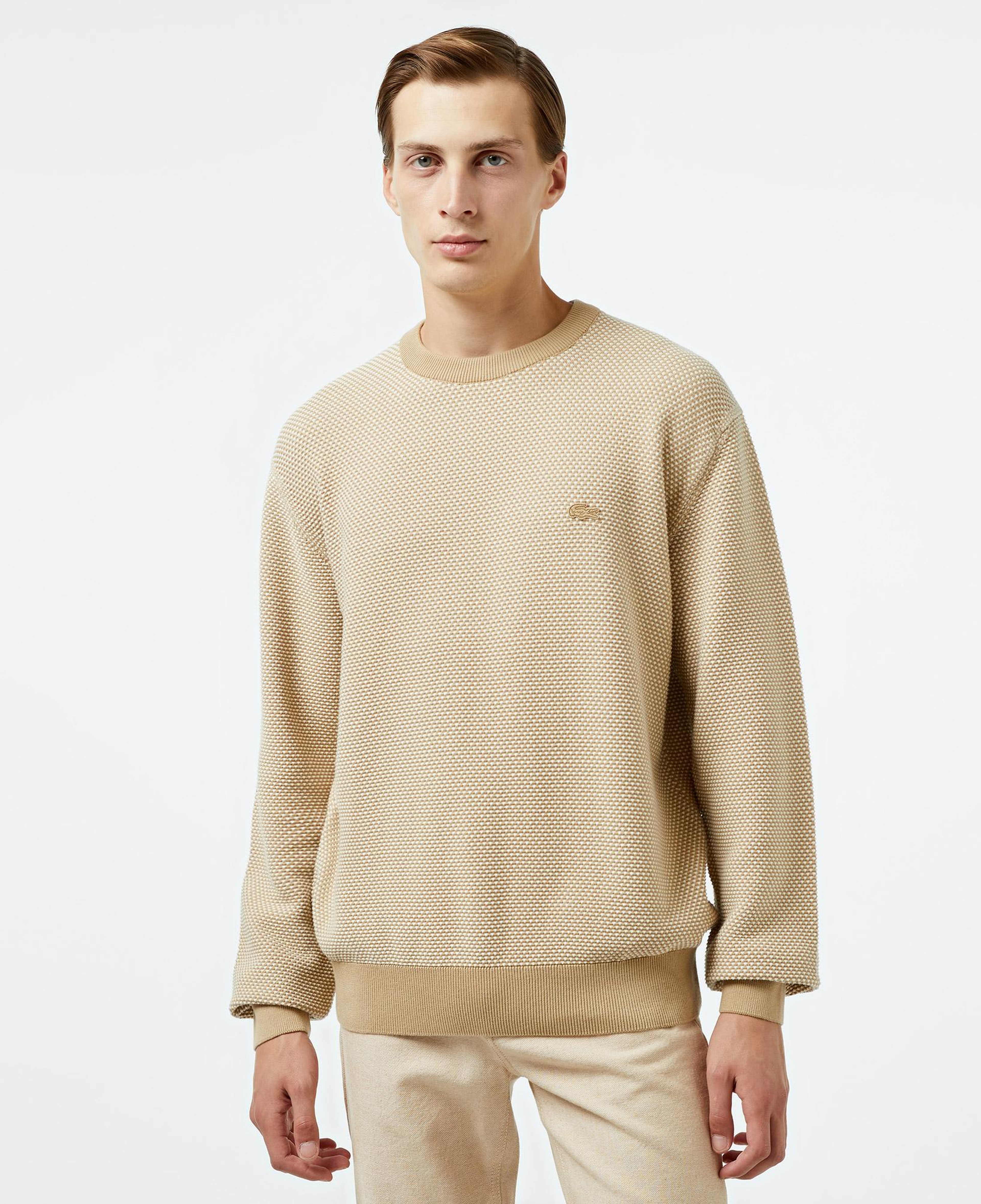Erkek Relaxed Fit Bisiklet Yaka Bej Triko