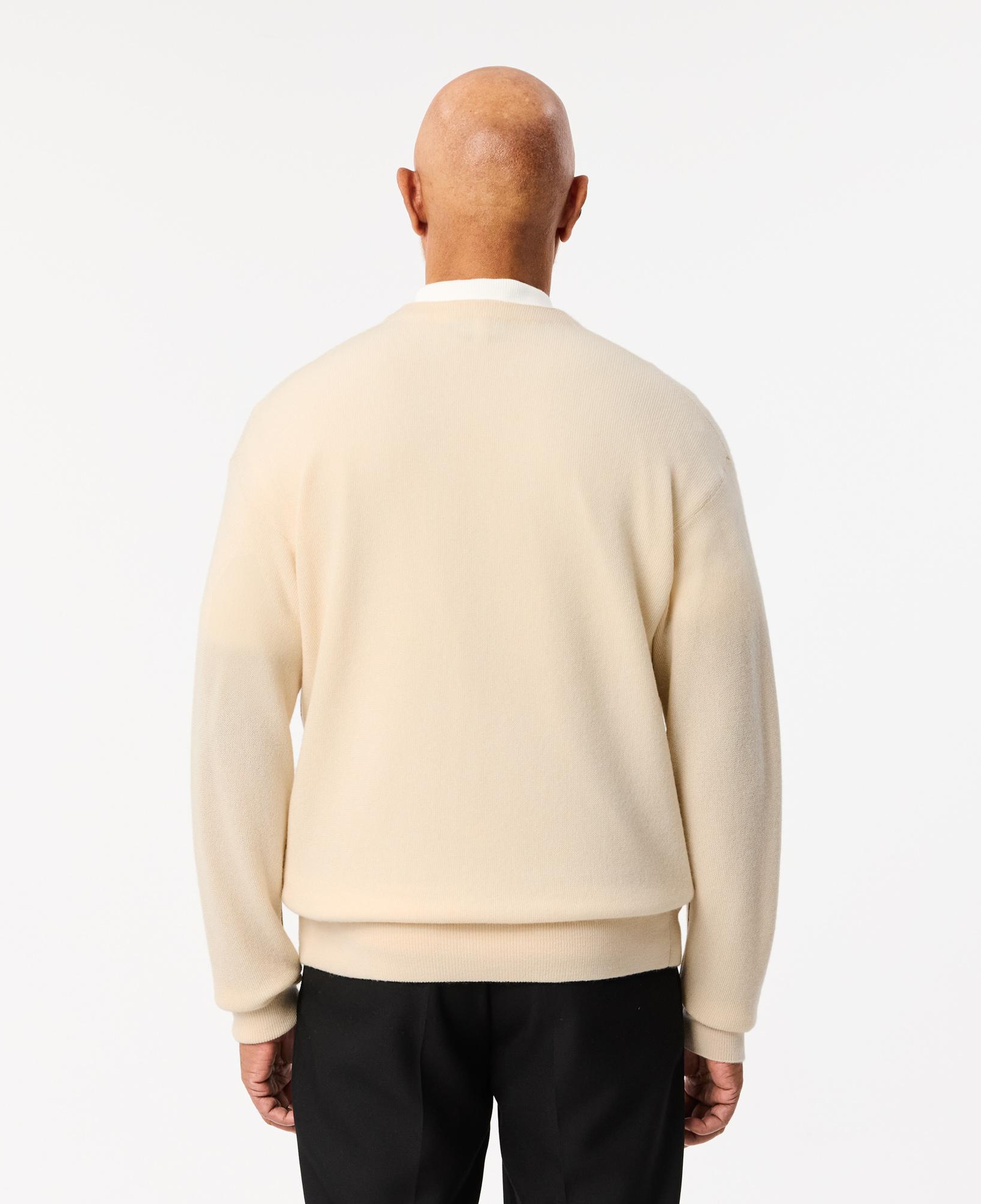 Erkek Relaxed Fit V Yaka Yün Krem Hırka