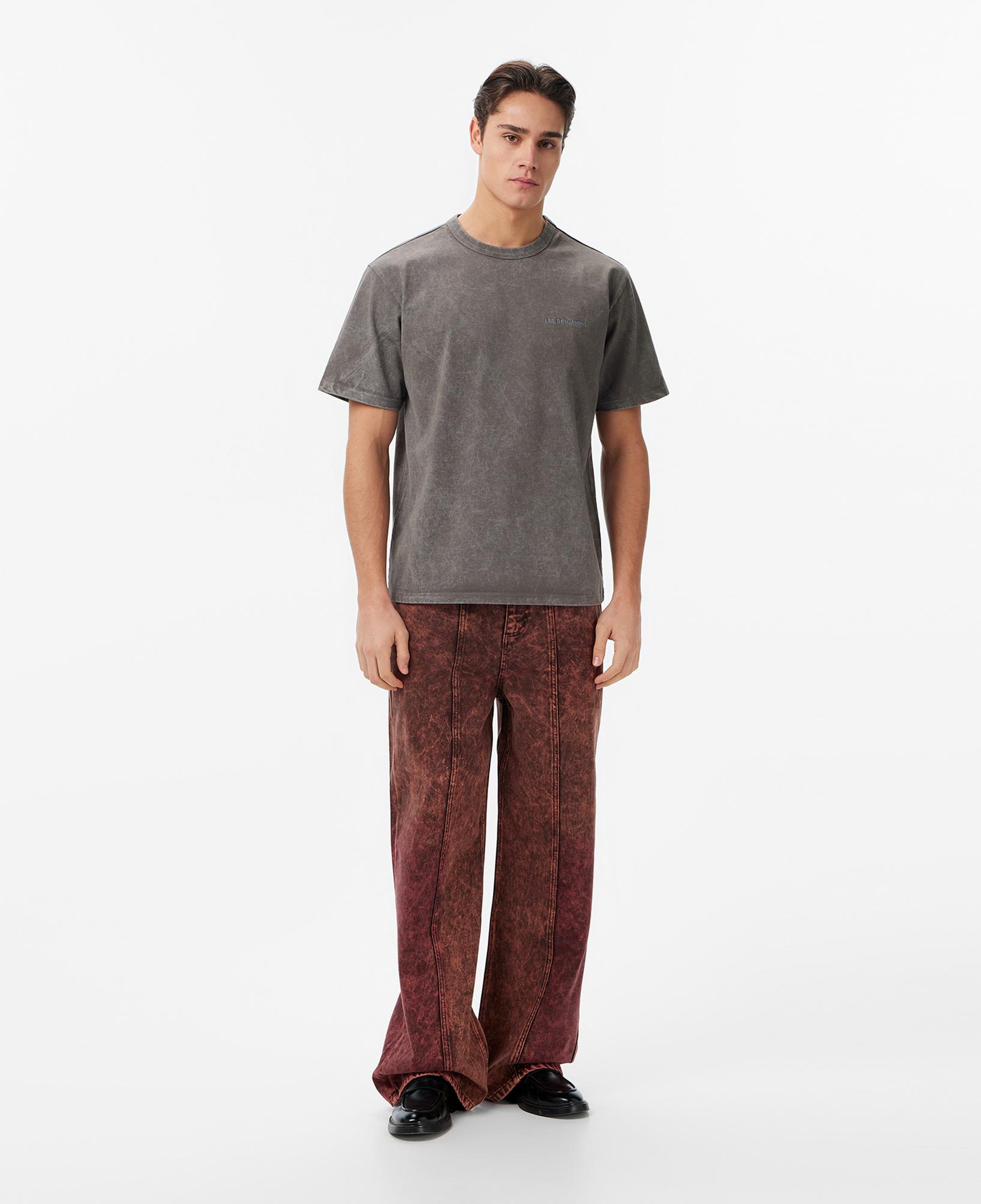 Les Benjamins Relaxed Fit Erkek Gri T-Shirt