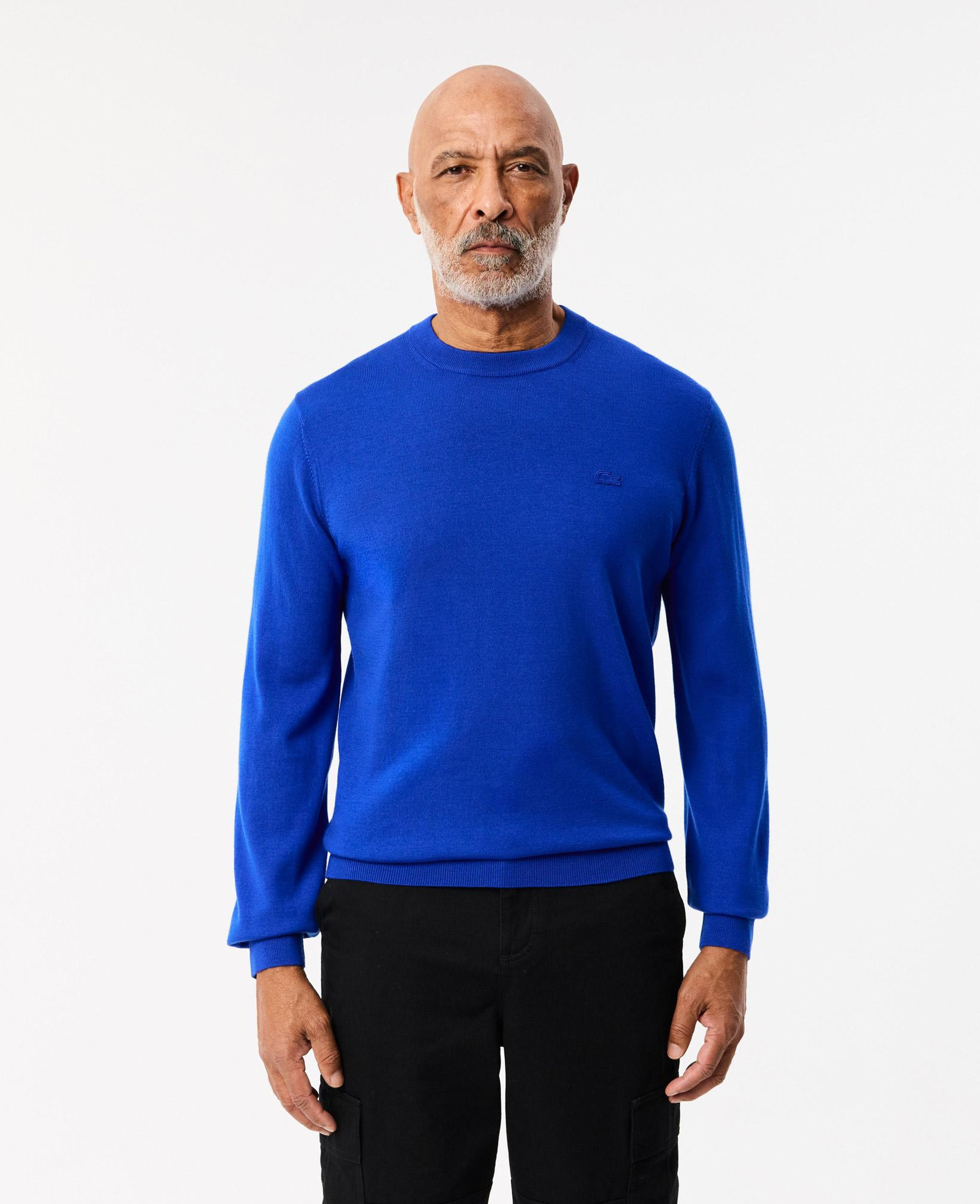 Lacoste Erkek Regular Fit Bisiklet Yaka Yün Mavi Triko