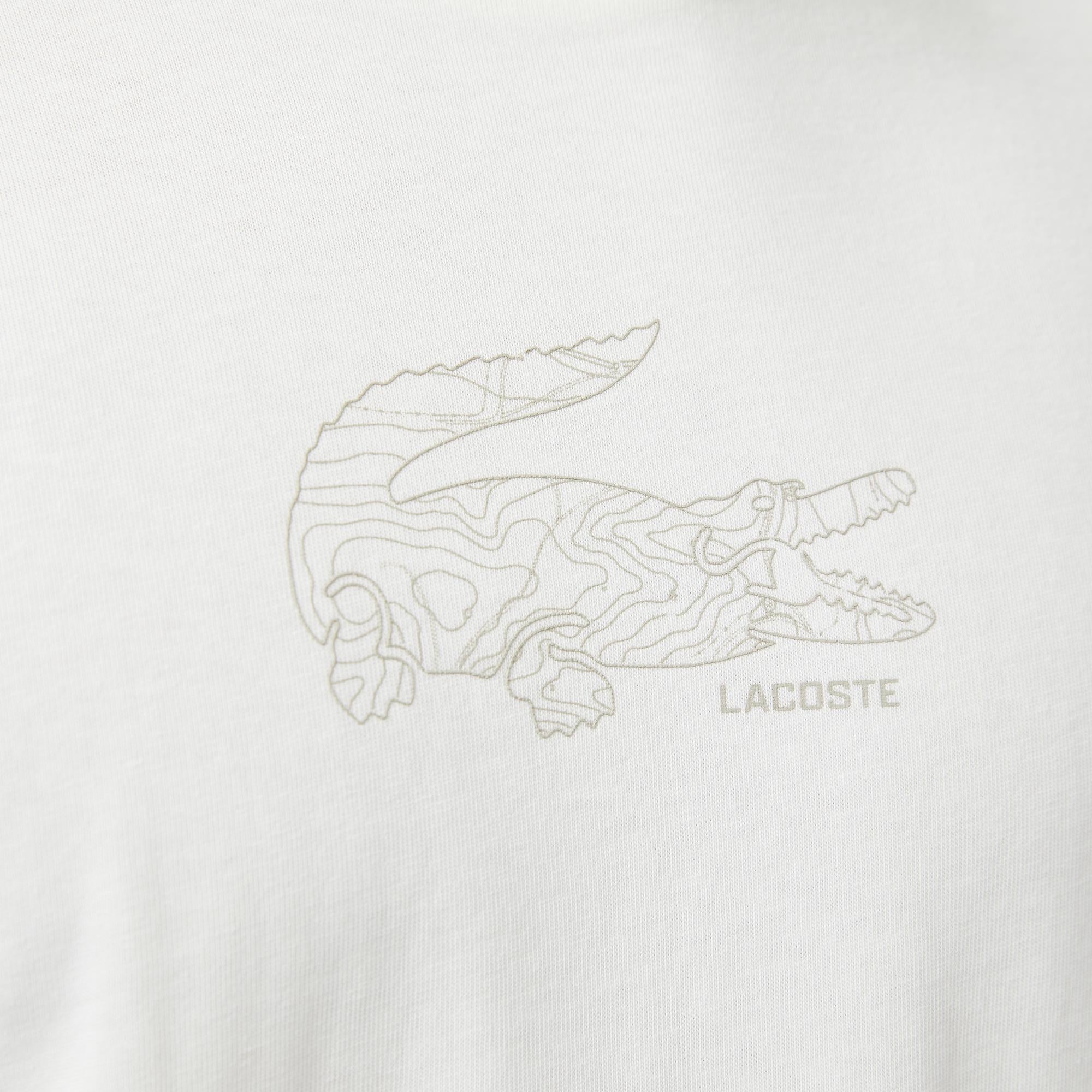 Lacoste Regular Fit Erkek Beyaz T-Shirt