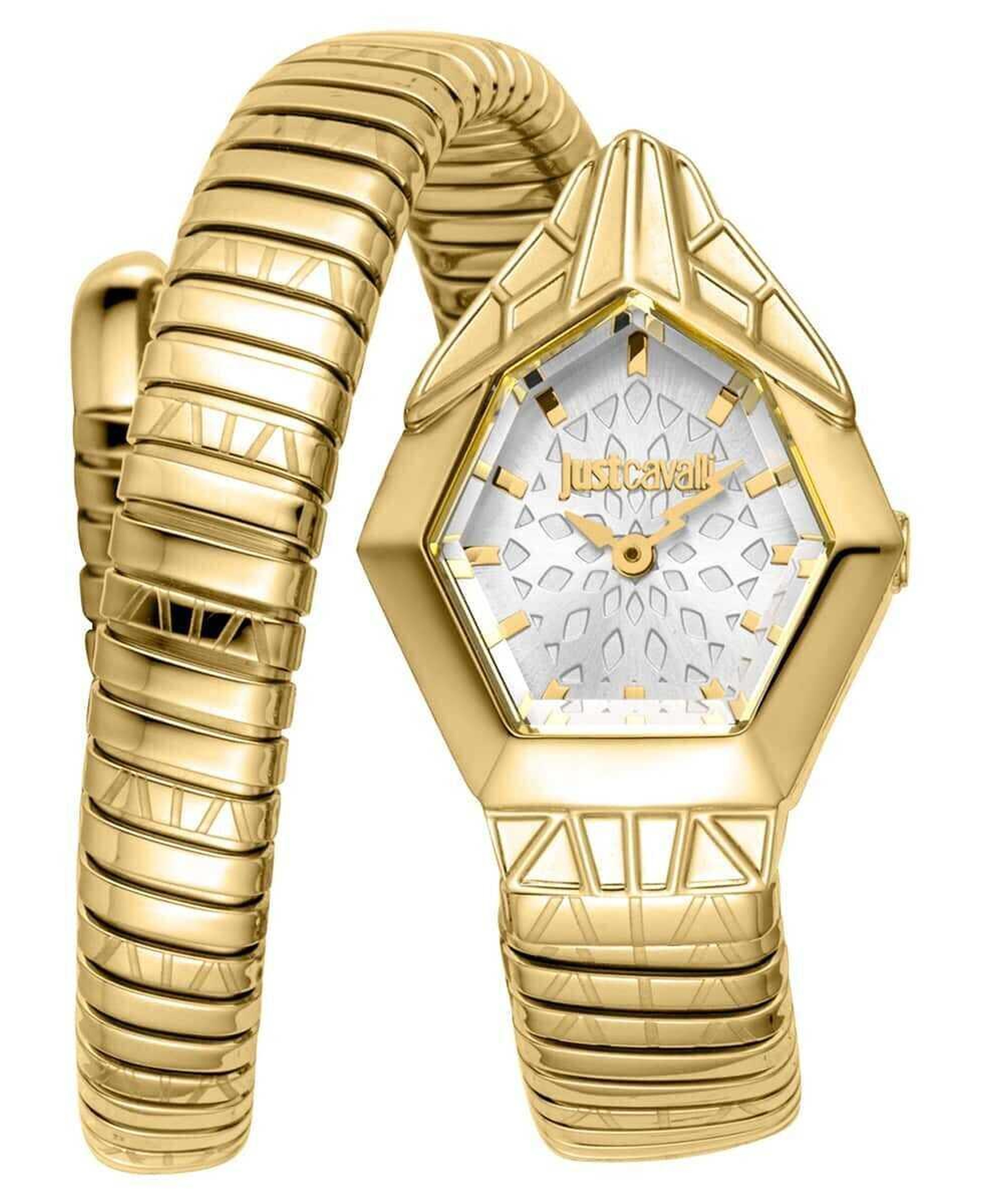 Just Cavalli JC1L358M0225 Kadın Kol Saati