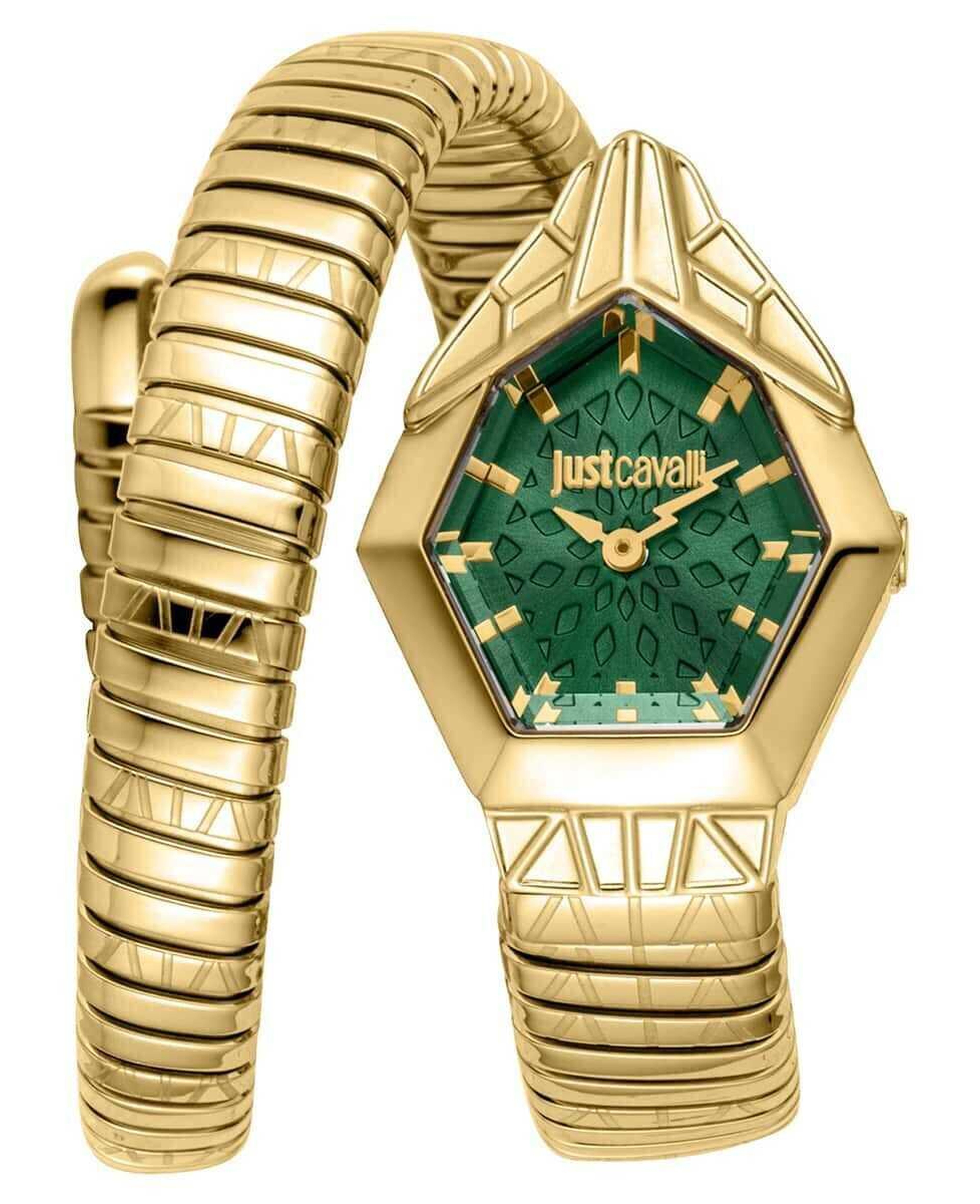 Just Cavalli JC1L358M0235 Kadın Kol Saati
