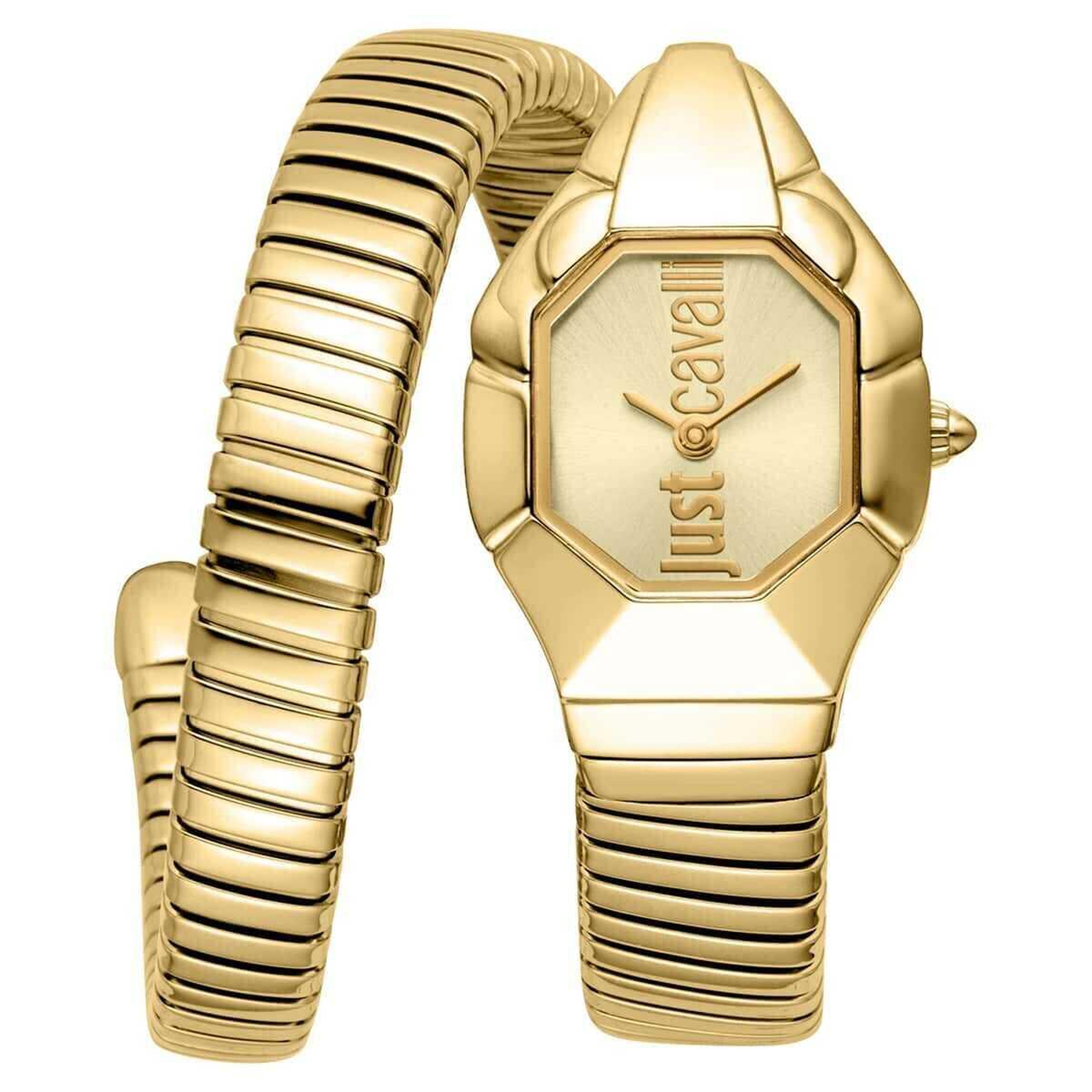 Just Cavalli JC1L398M0035 Kadın Kol Saati