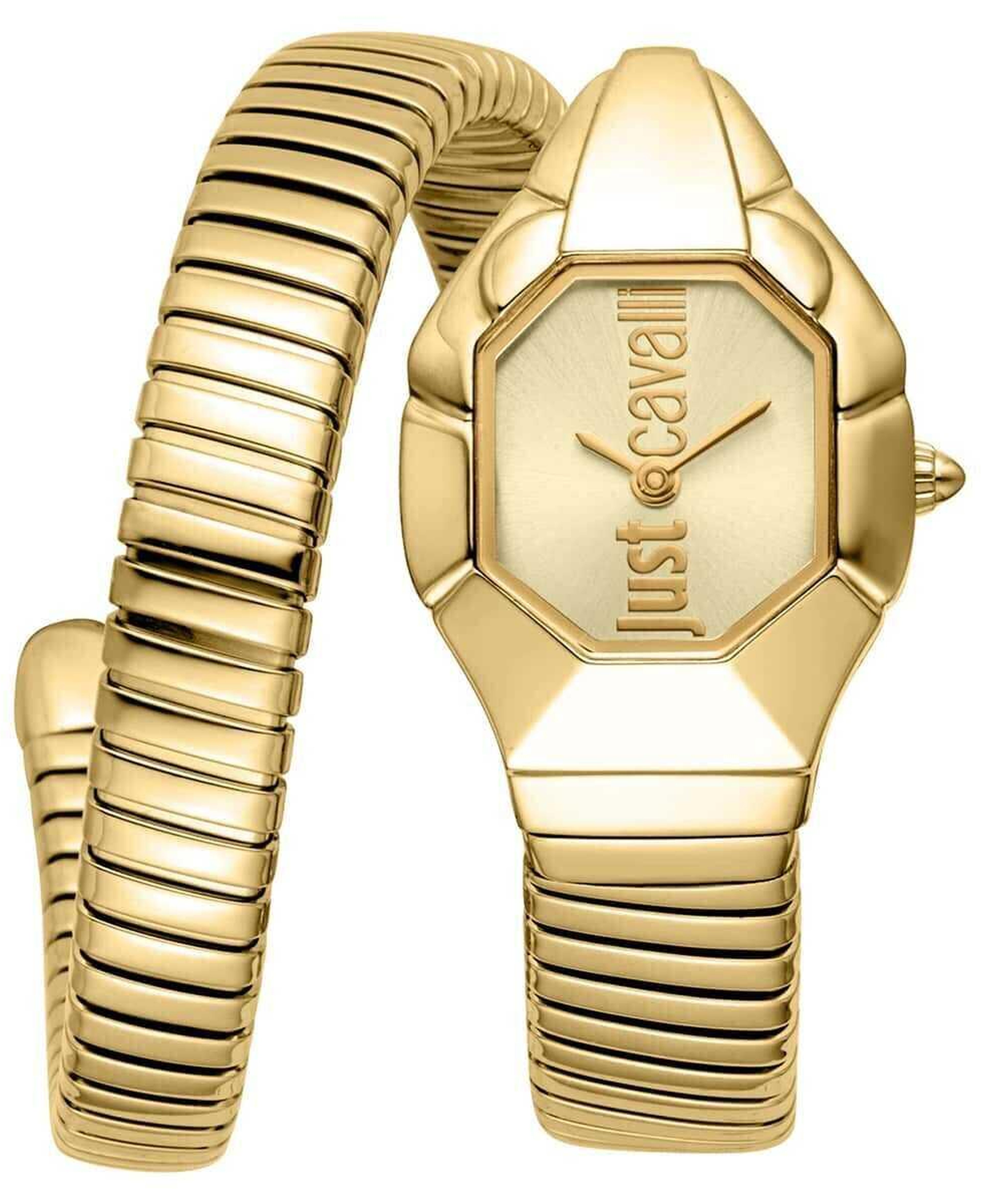 Just Cavalli JC1L398M0035 Kadın Kol Saati
