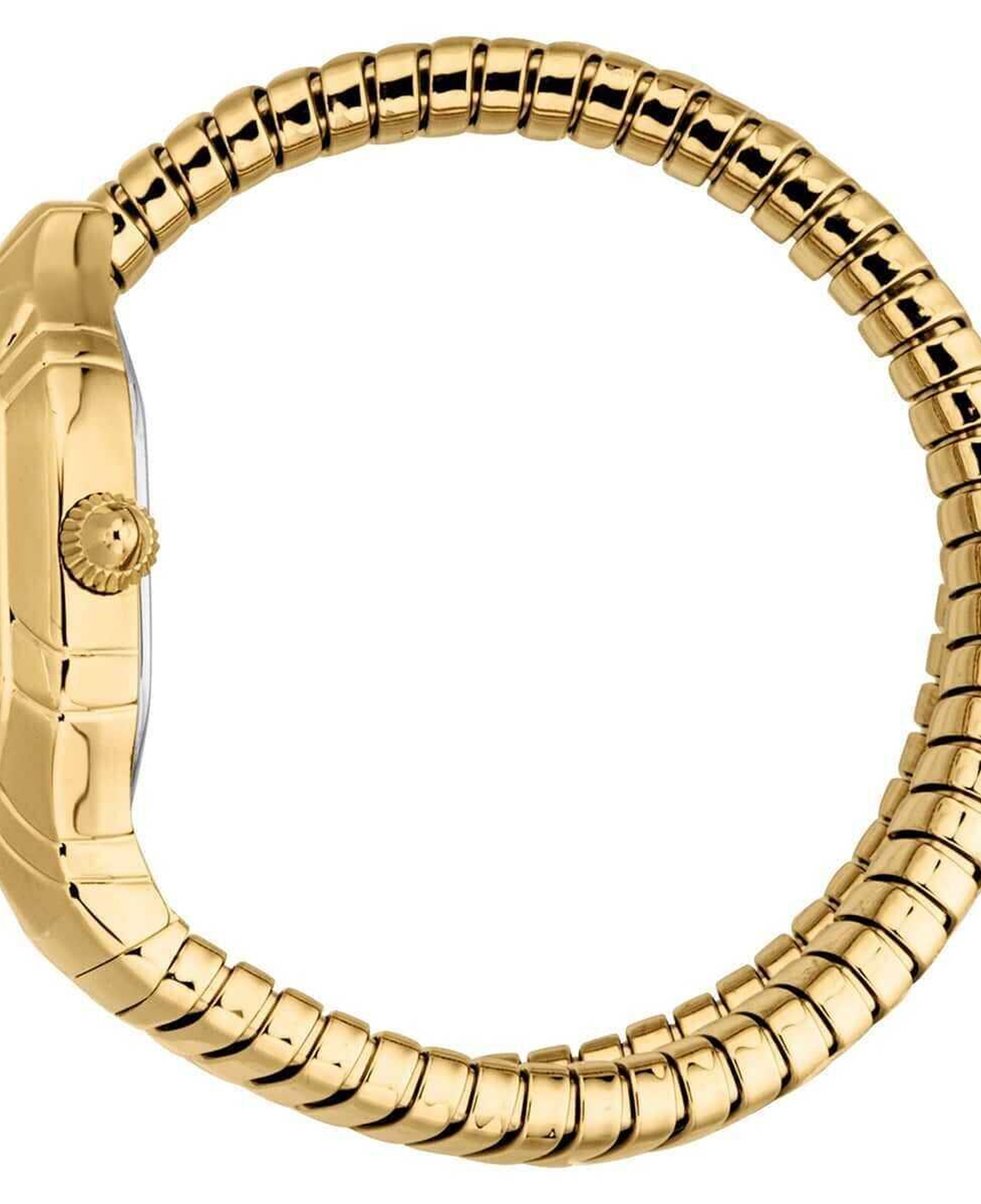 Just Cavalli JC1L399M0035 Kadın Kol Saati