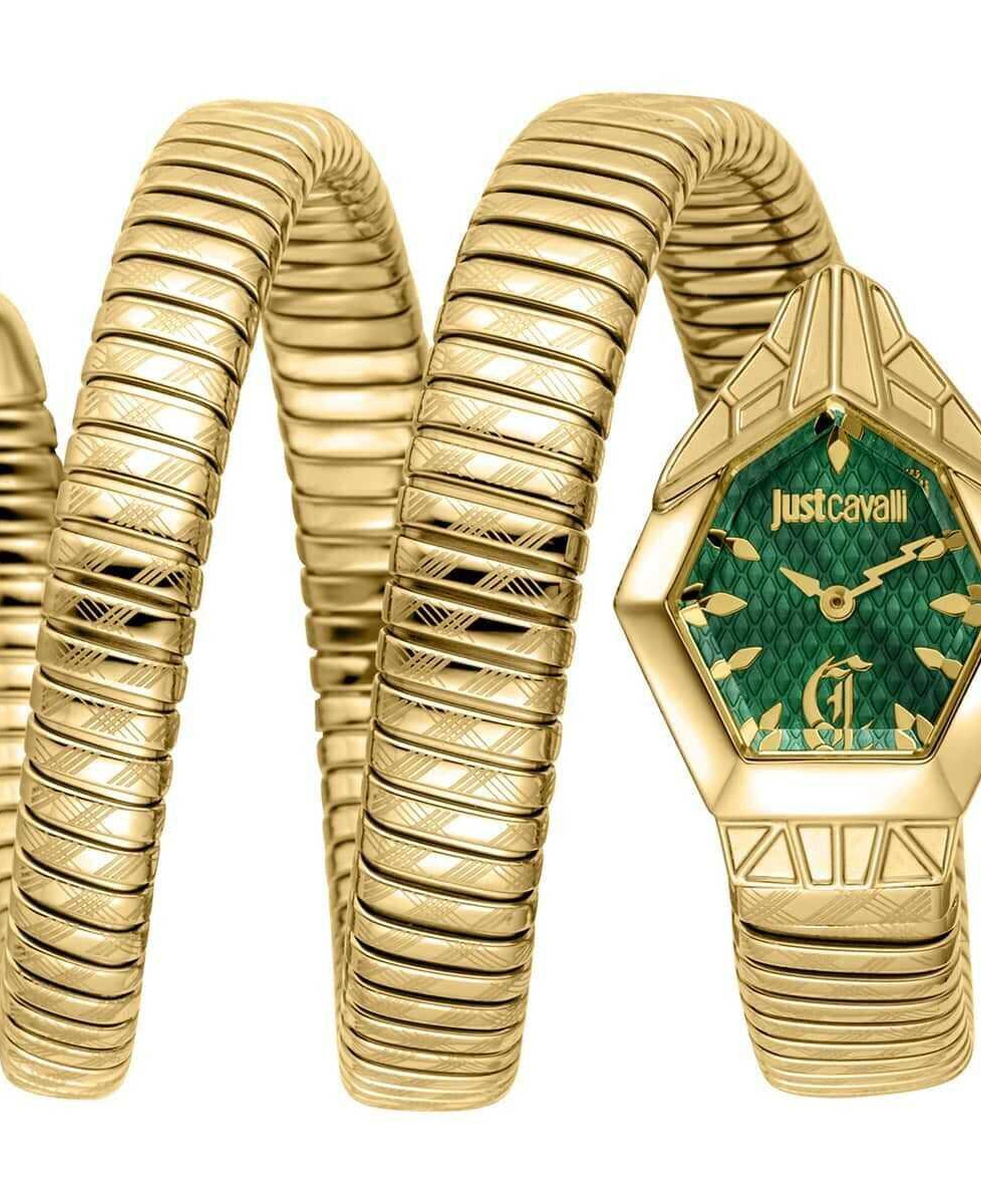 Just Cavalli JC1L417M0035 Kadın Kol Saati