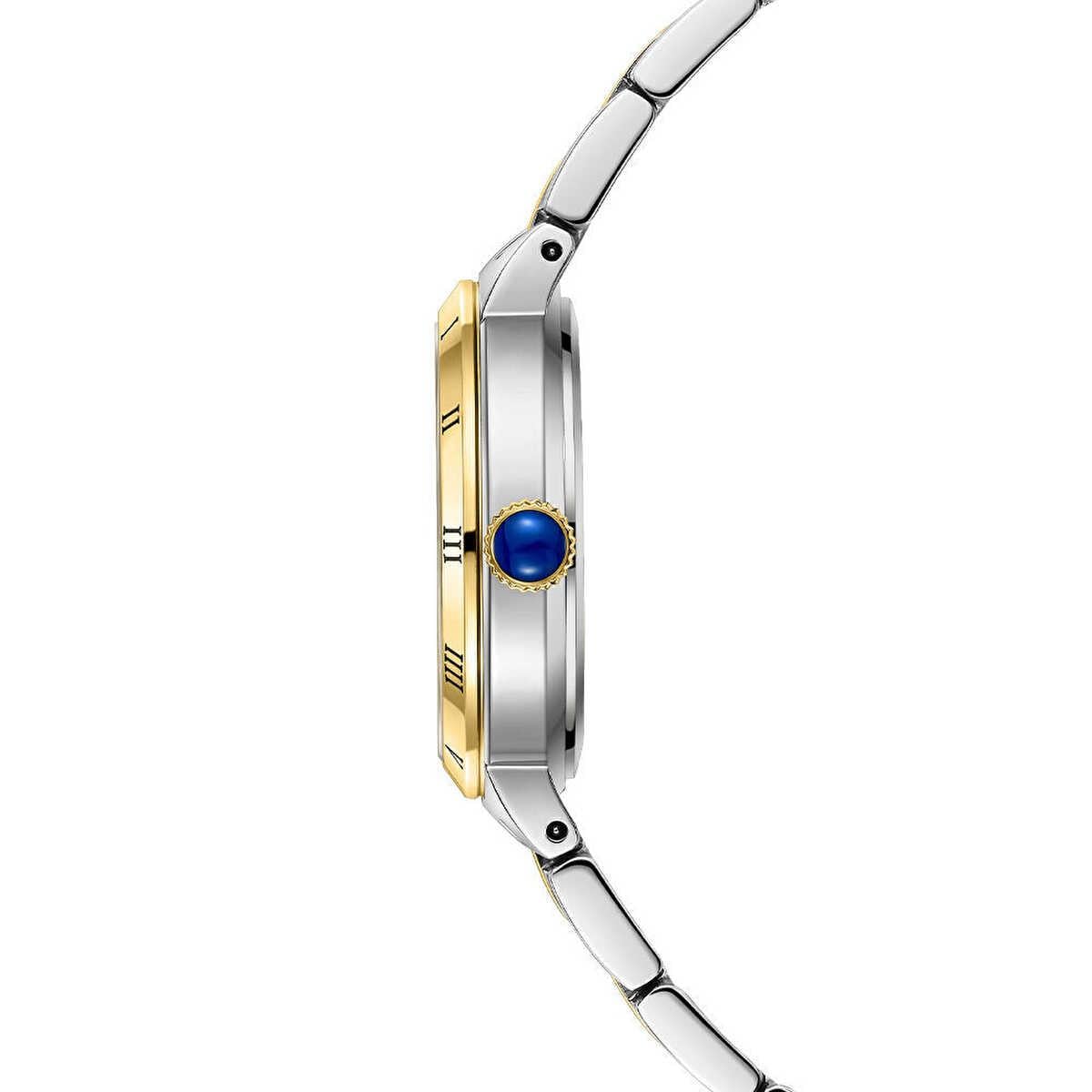 Roche Montre RML5029-01 Kadın Kol Saati