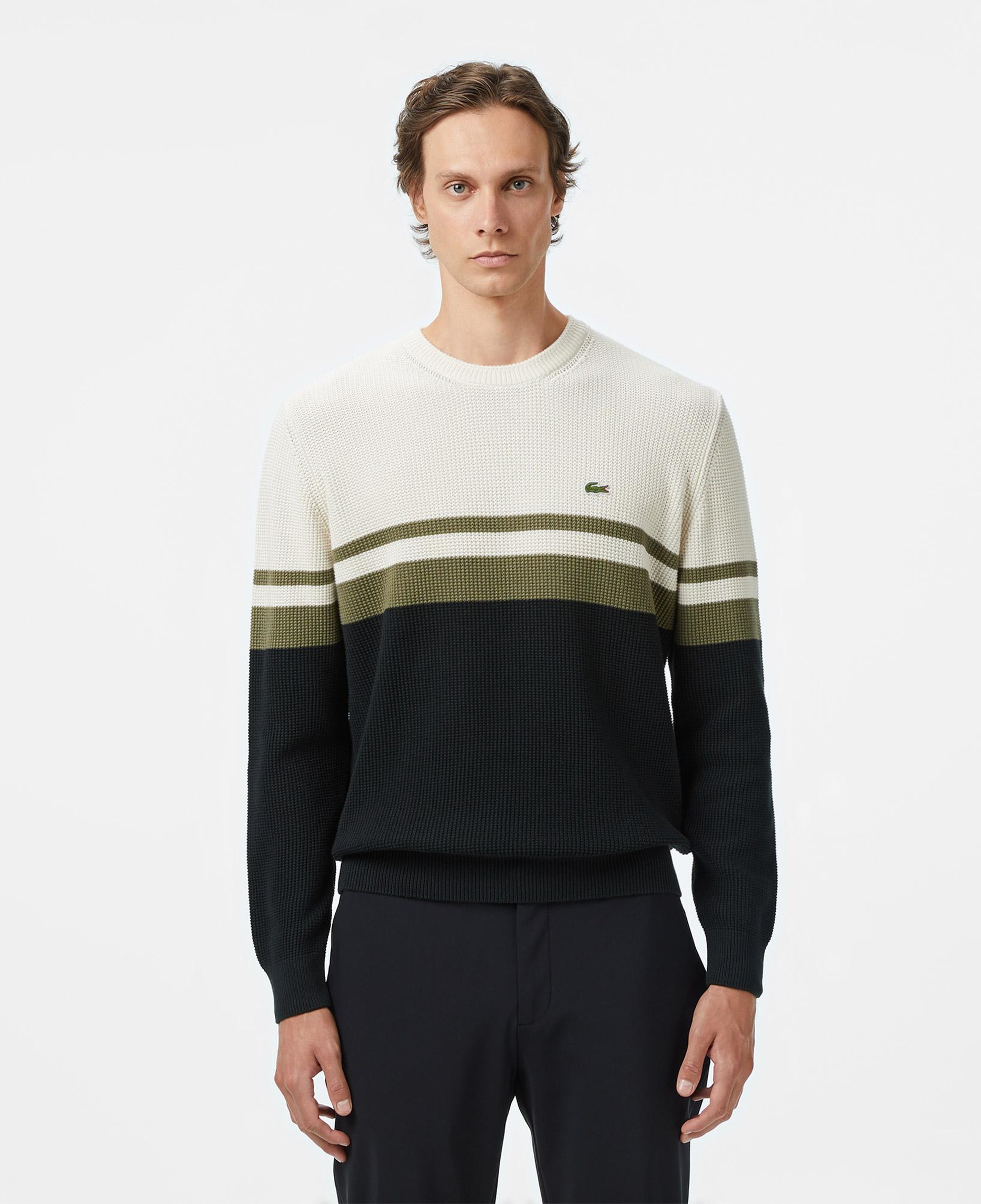 Erkek Classic Fit Bisiklet Yaka Renk Bloklu Siyah Kazak