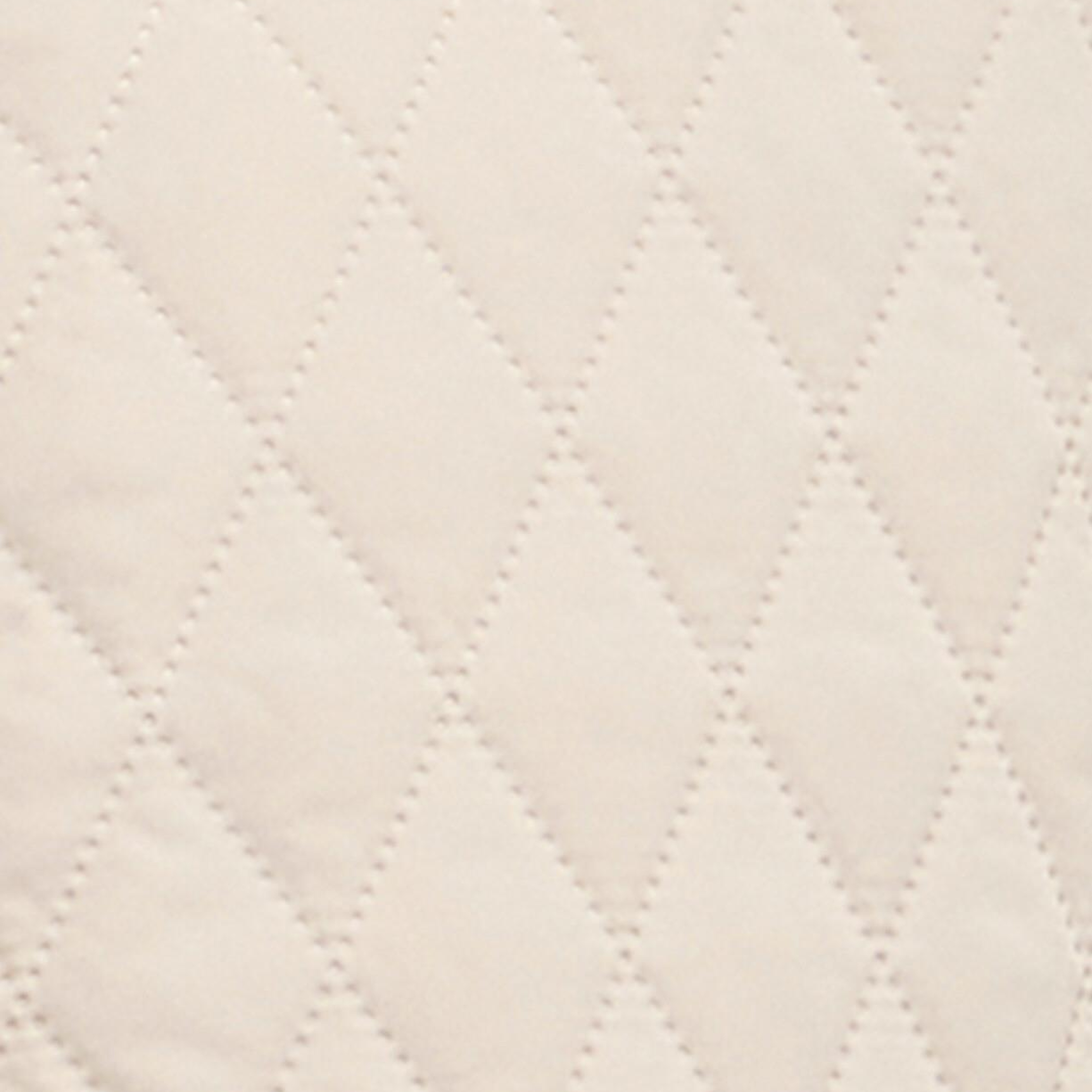 Barbour Goldmire Kapitone Ceket