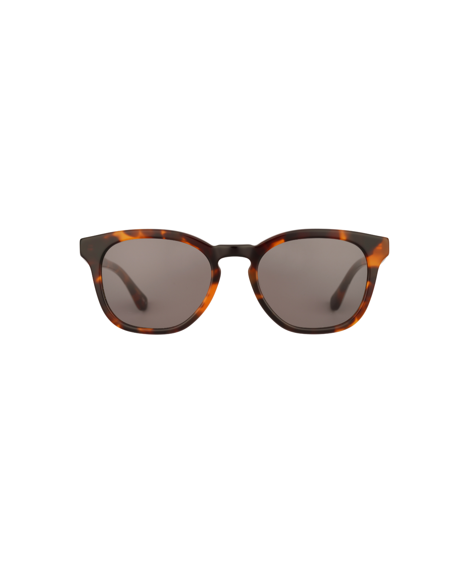Barbour BA8108 Güneş Gözlüğü
