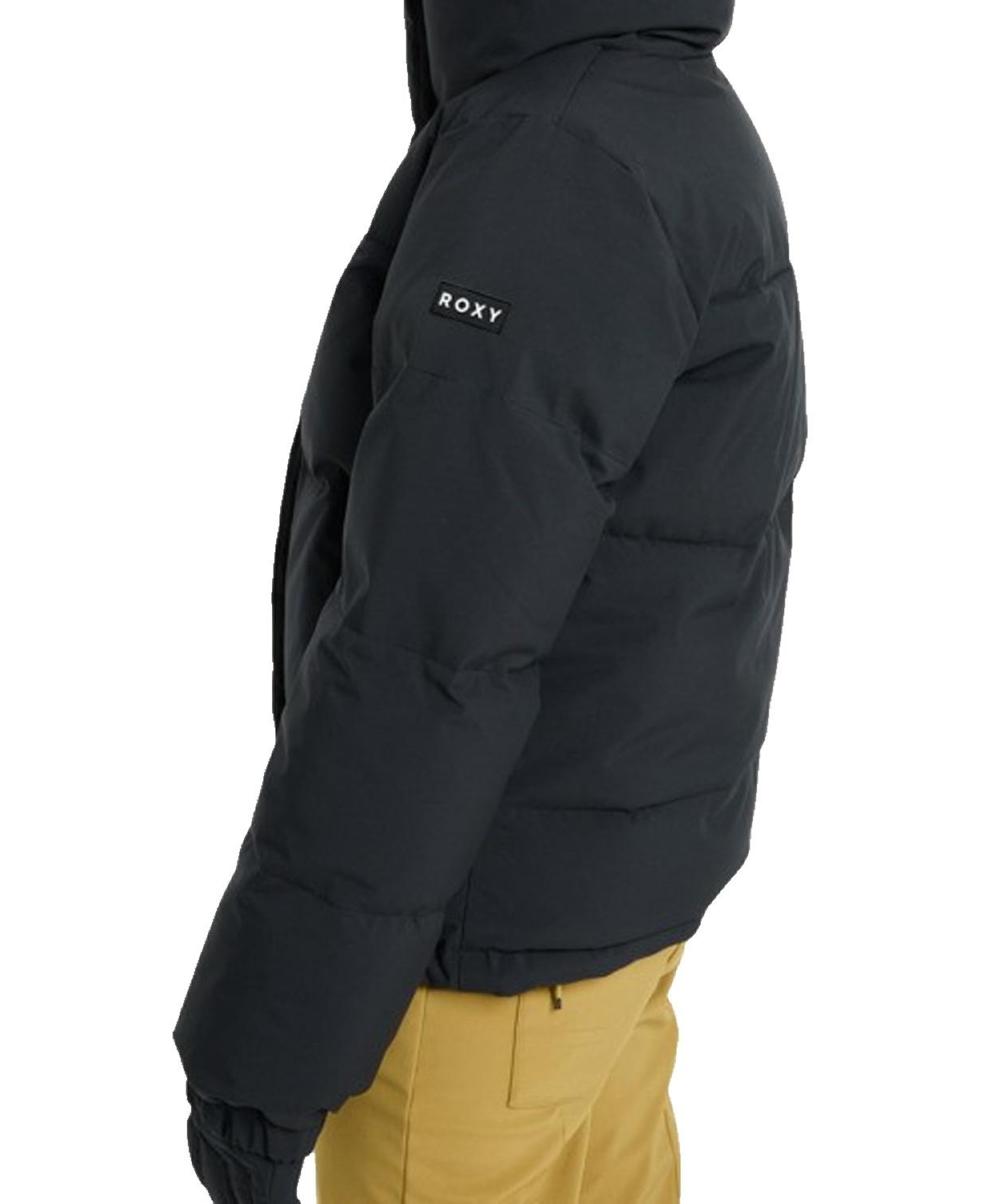 Roxy Snow Winter Rebel Kadın Snowboard Ceketi