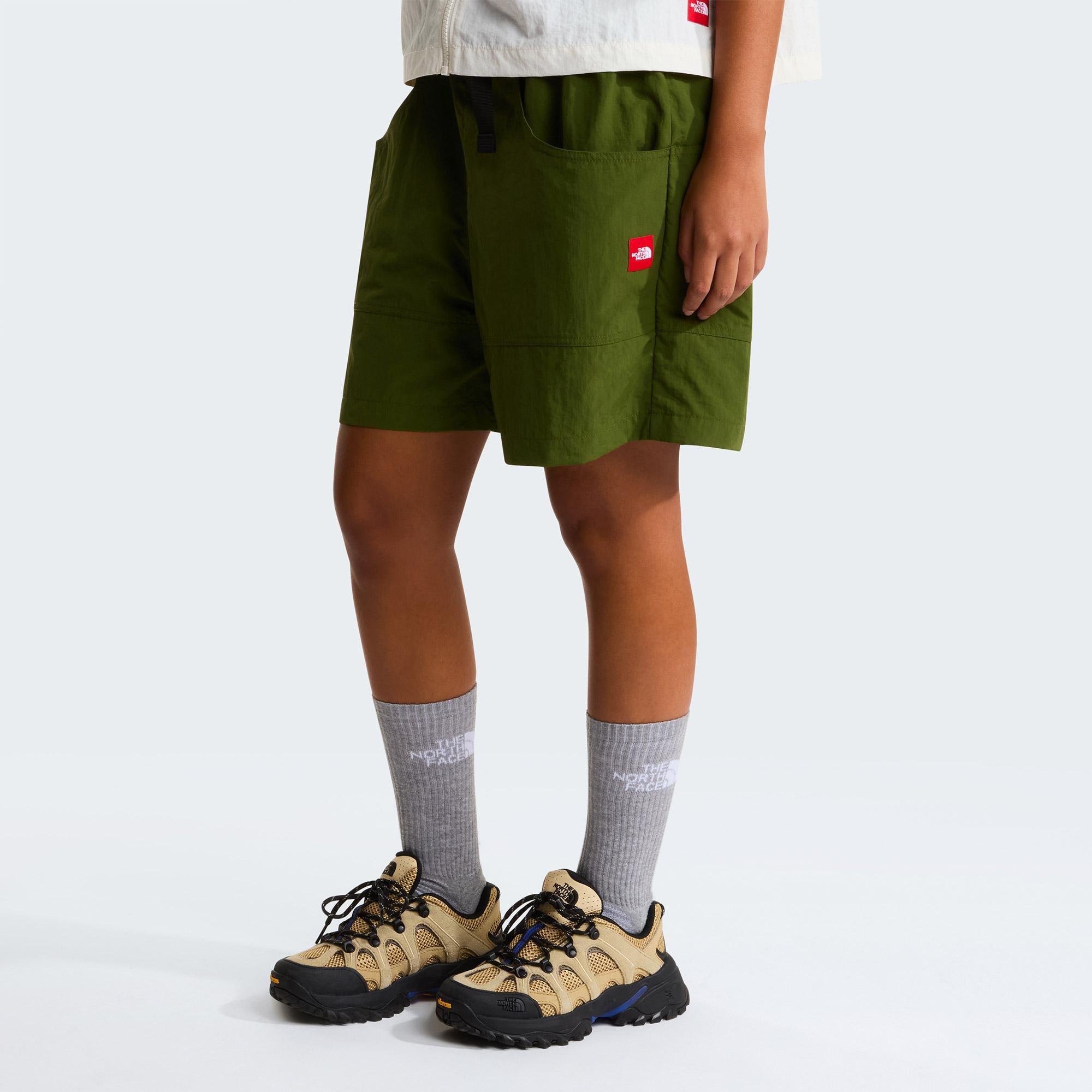 The North Face Red Box Taslan Graphic Erkek Yeşil Şort