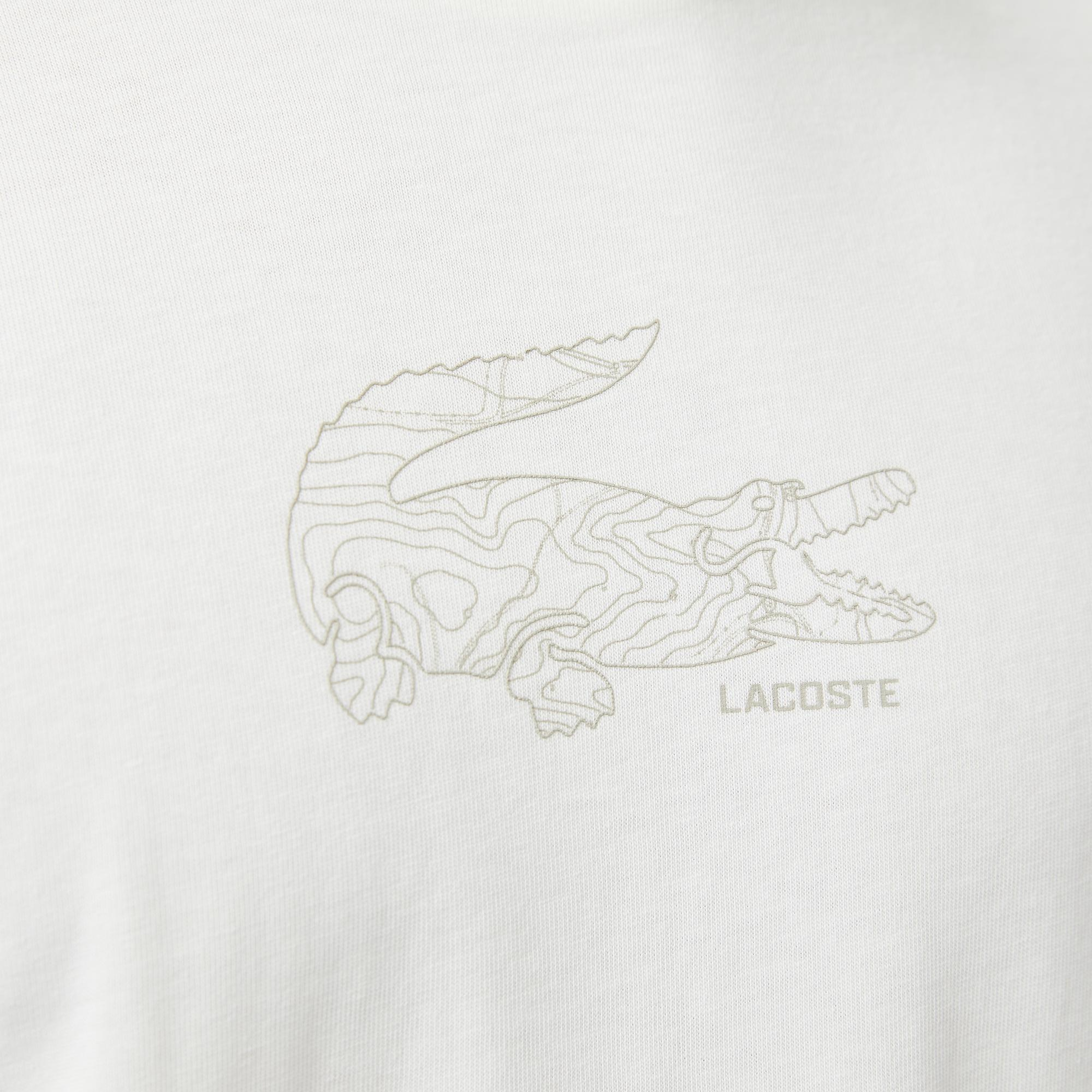 Lacoste Regular Fit Erkek Beyaz T-Shirt