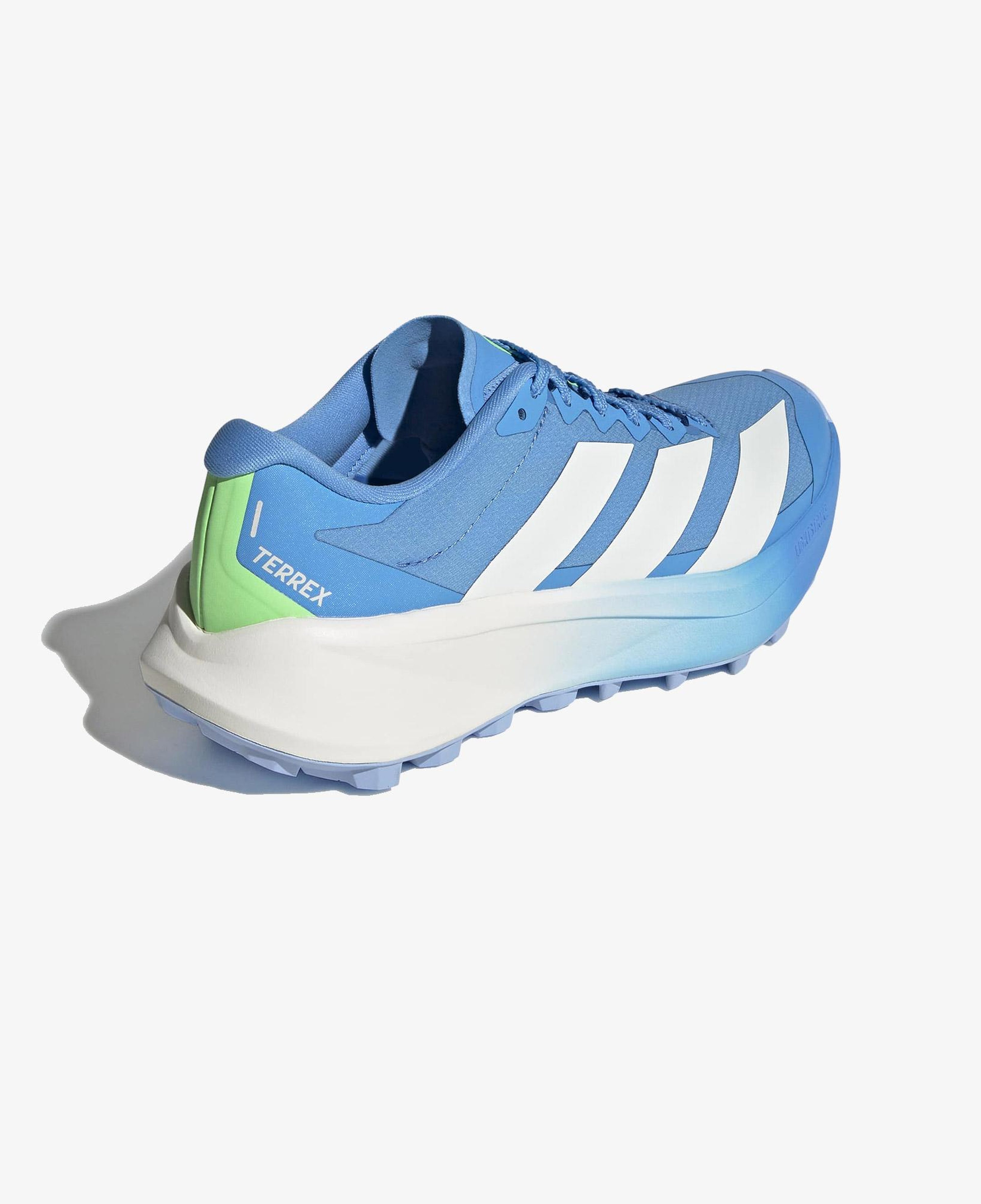 adidas Terrex Agravic 4 Kadın Mavi Koşu Ayakkabısı