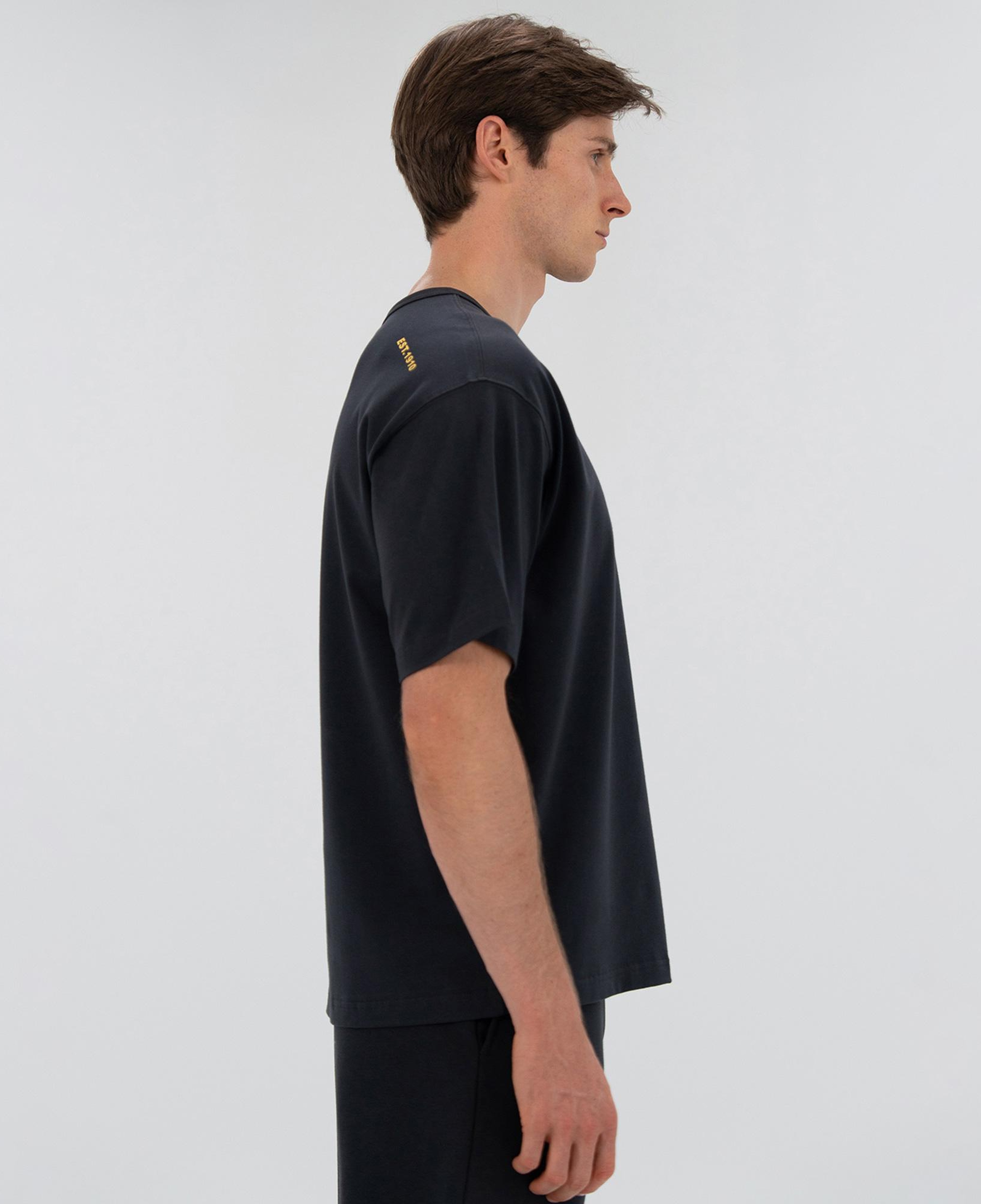 Everlast 1910 Classic Comfort Erkek Gri T-Shirt