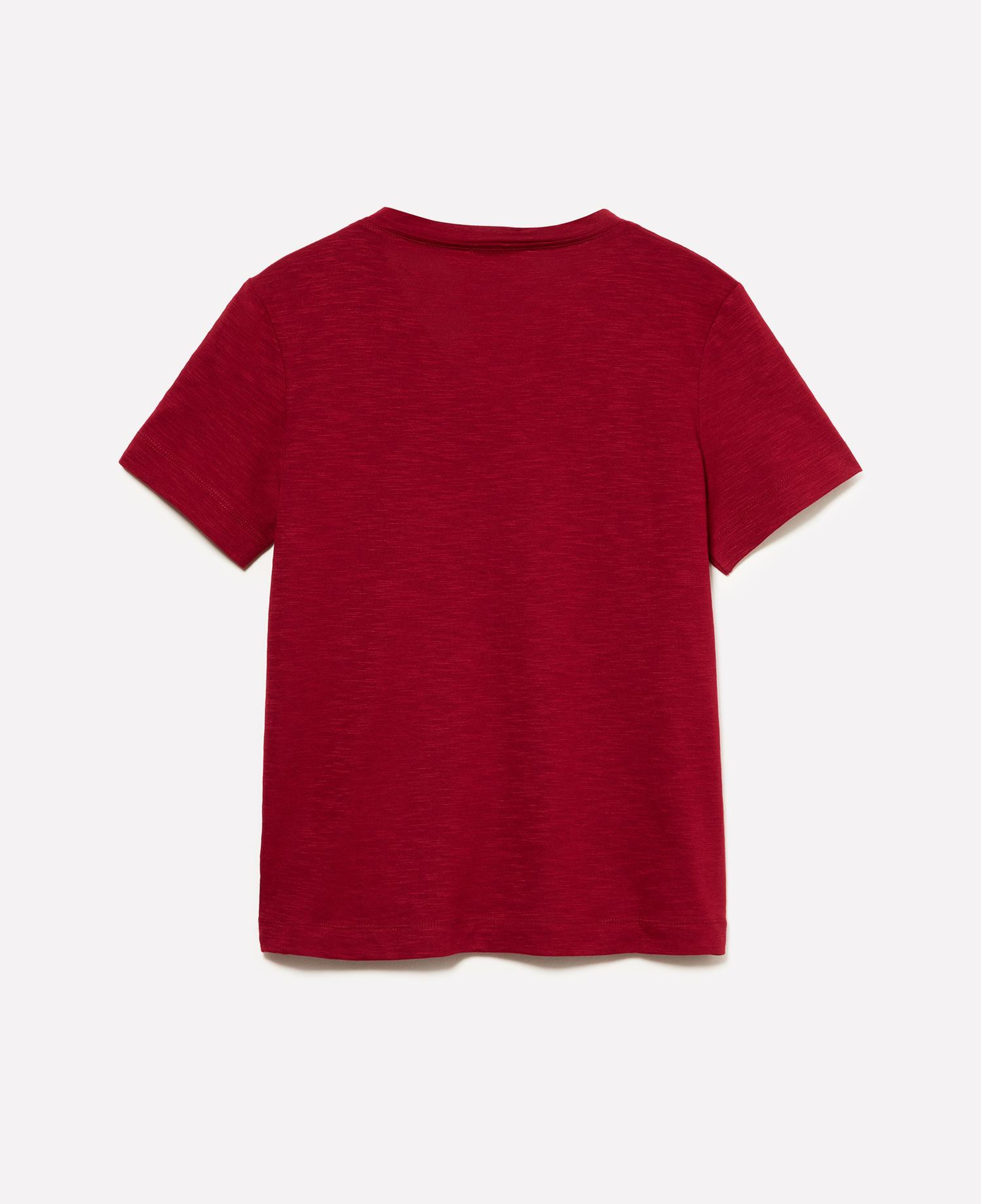 Kadın Bordo Pamuk ve Modal Karışımlı V Yaka T-Shirt