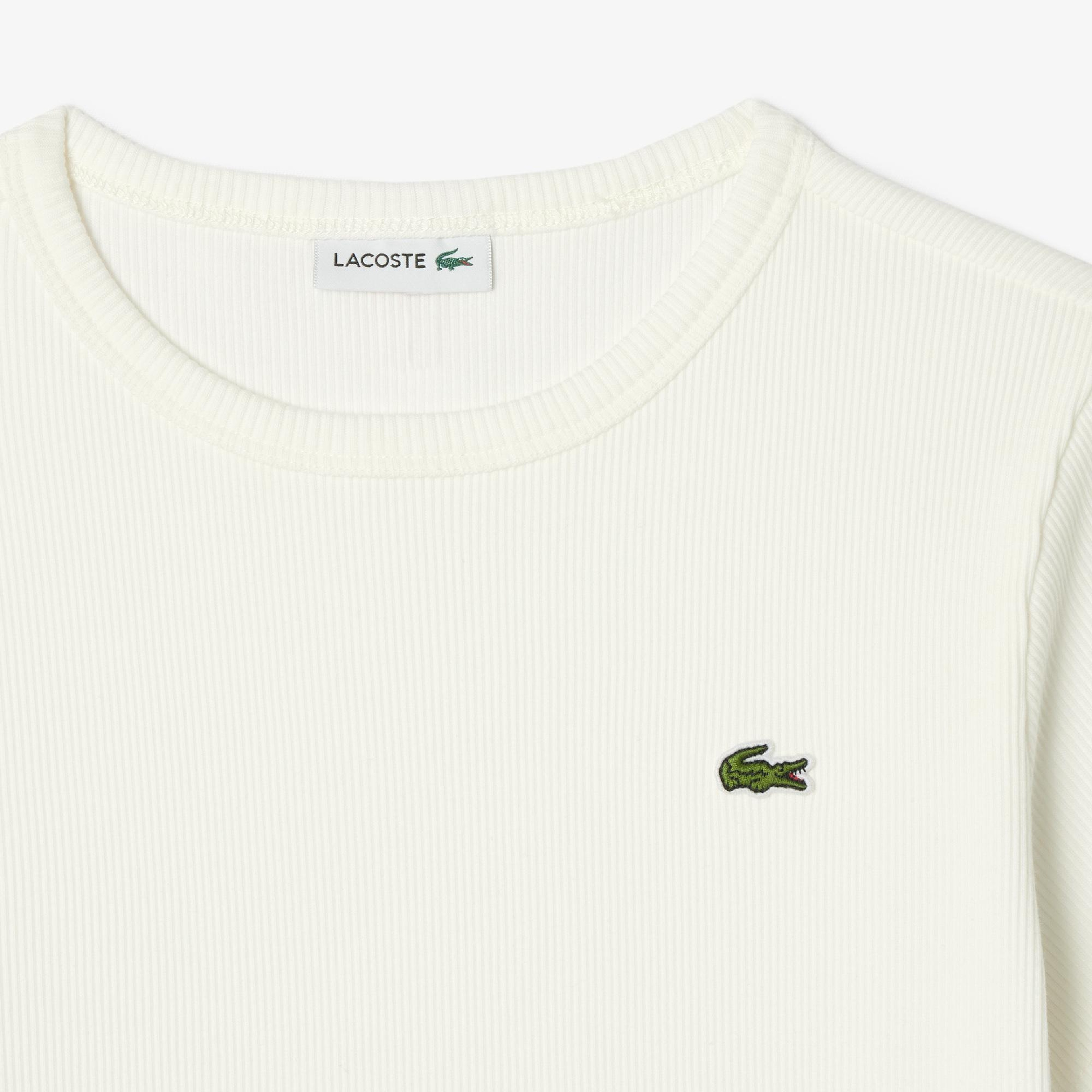 Lacoste Çocuk Bisiklet Yaka Beyaz T-Shirt