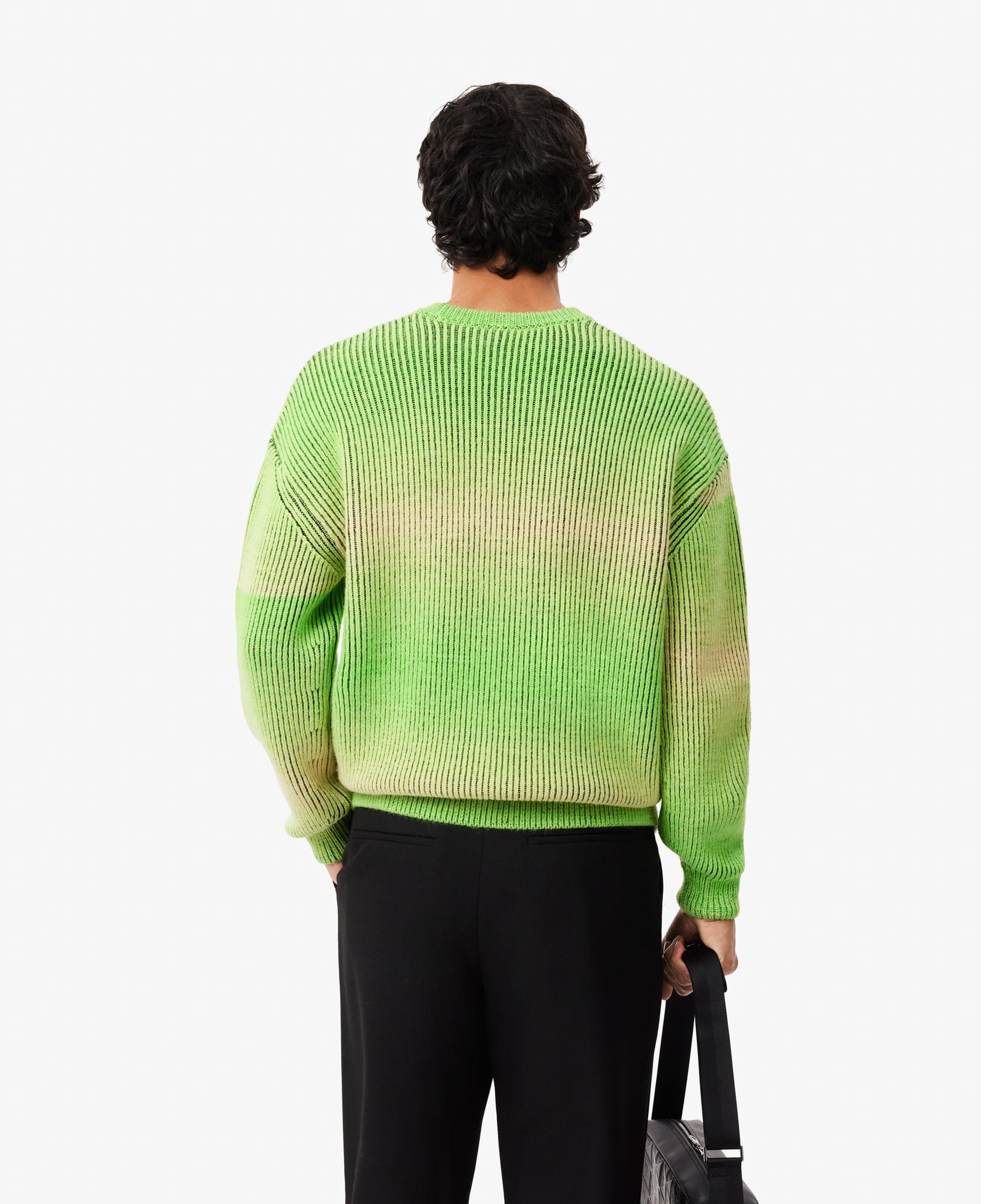 Erkek Relaxed Fit Bisiklet Yaka Yeşil Yün Karışımlı Kazak