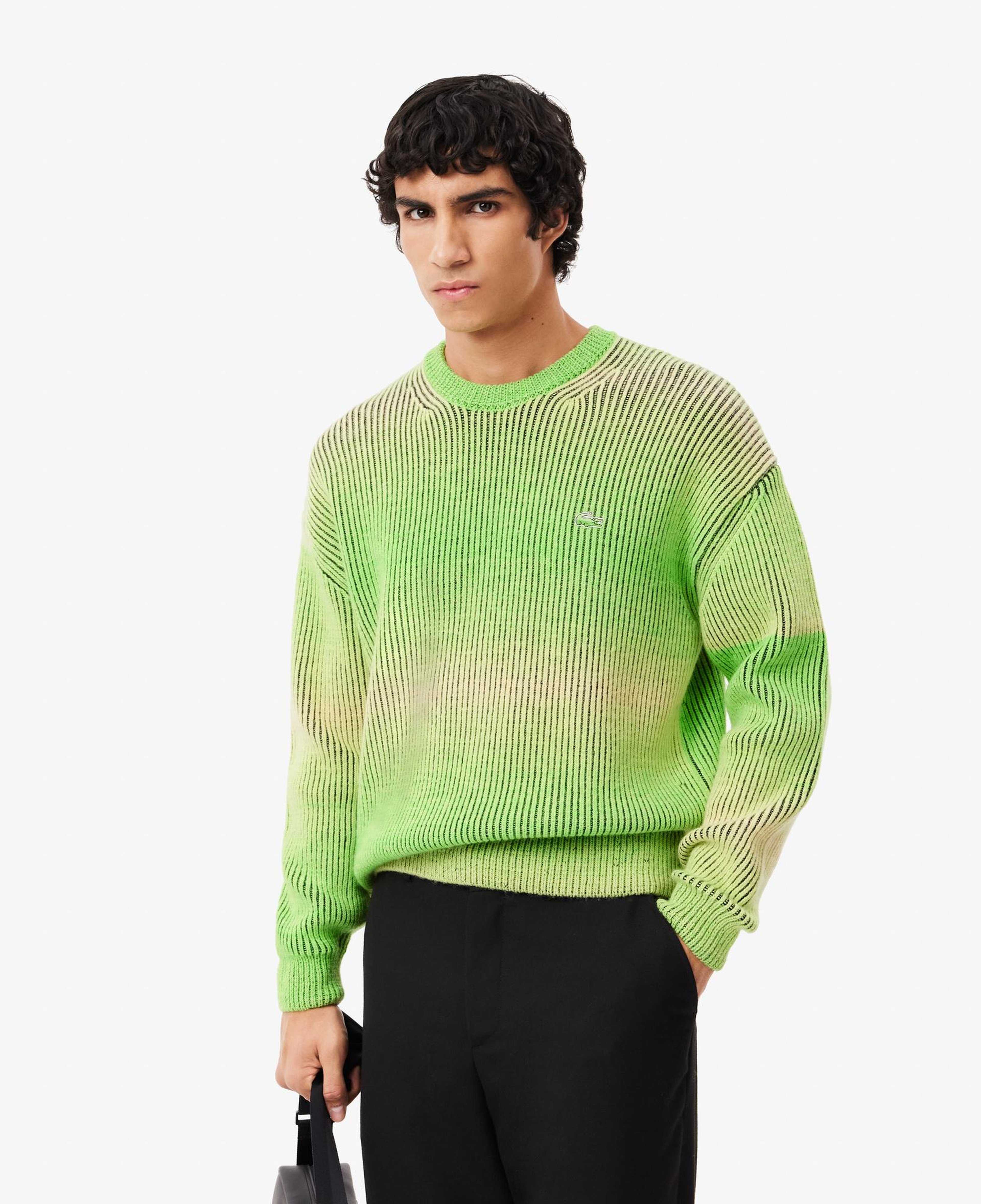 Erkek Relaxed Fit Bisiklet Yaka Yeşil Yün Karışımlı Kazak