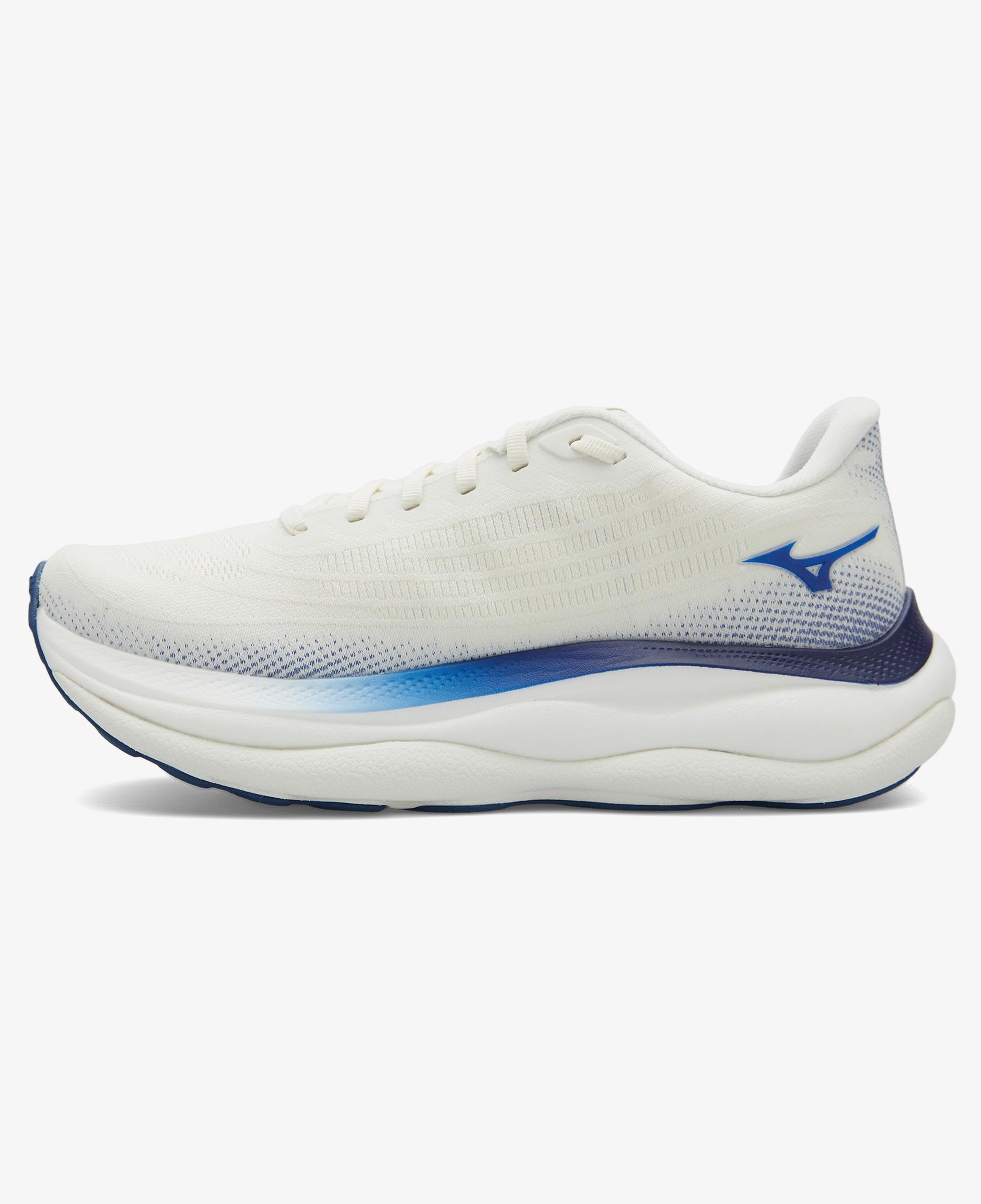 Mizuno Wave Sky 9 Erkek Koşu Ayakkabısı
