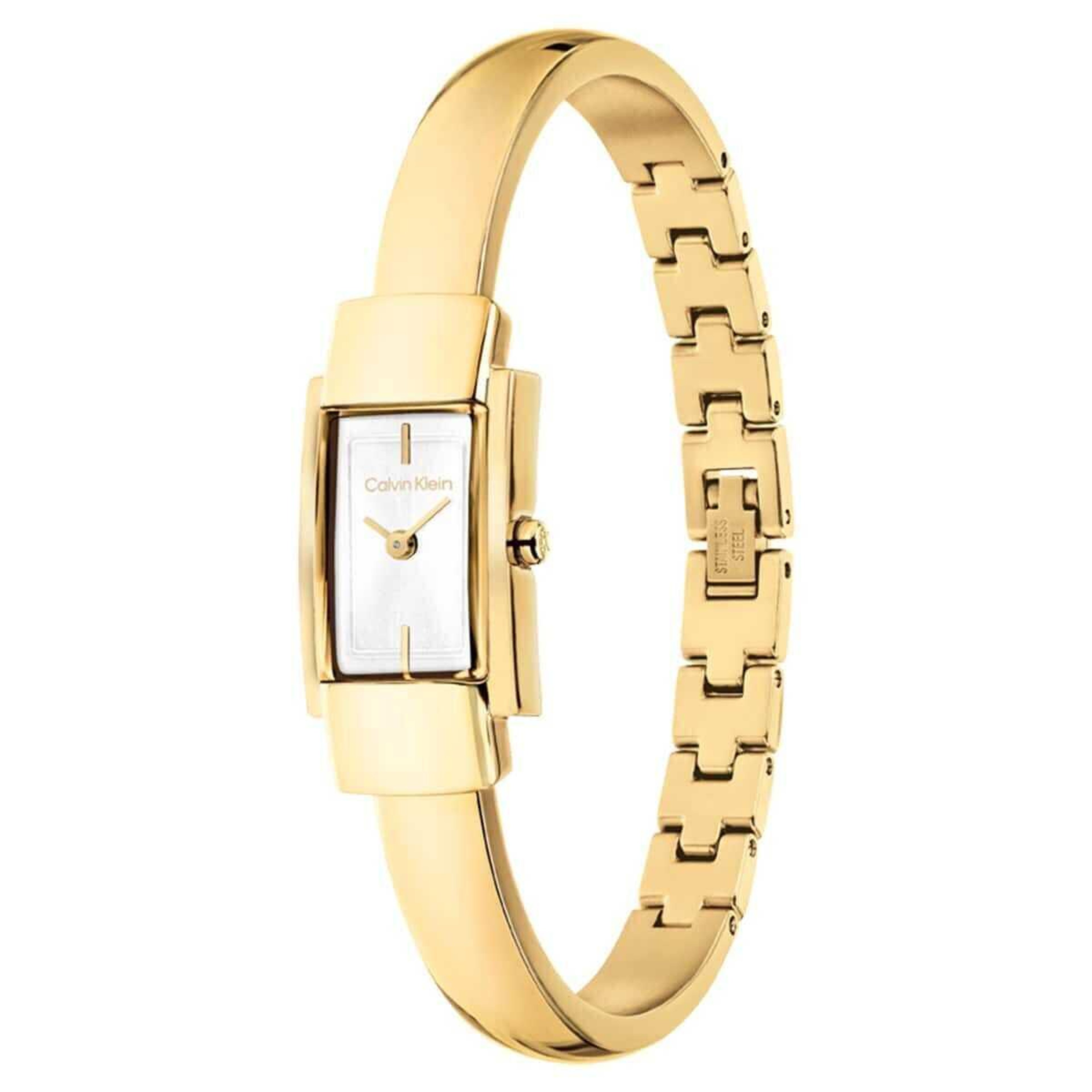 Calvin Klein CK25100184 Kadın Kol Saati