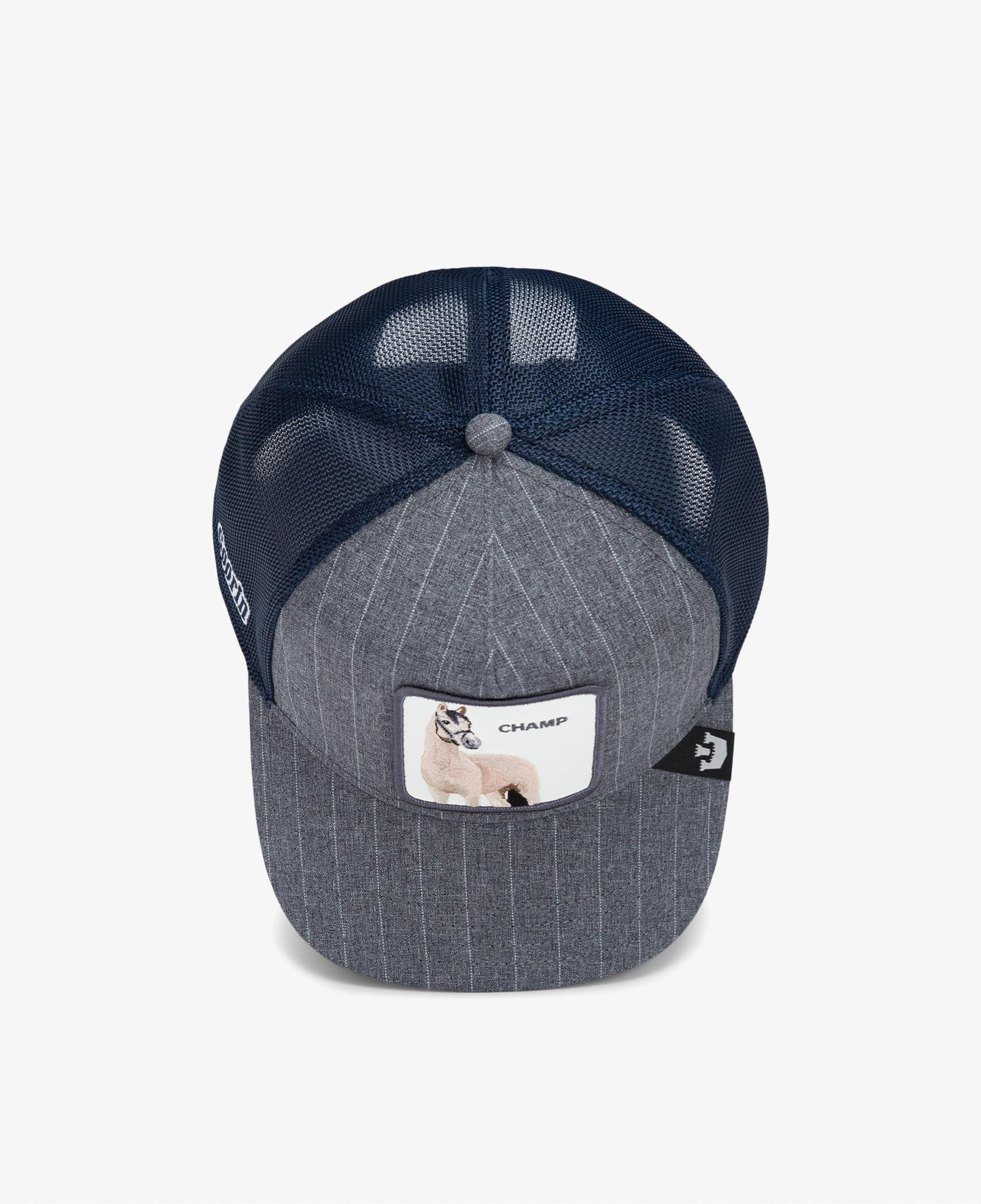 Goorin Bros Suited Champ Unisex Gri Şapka