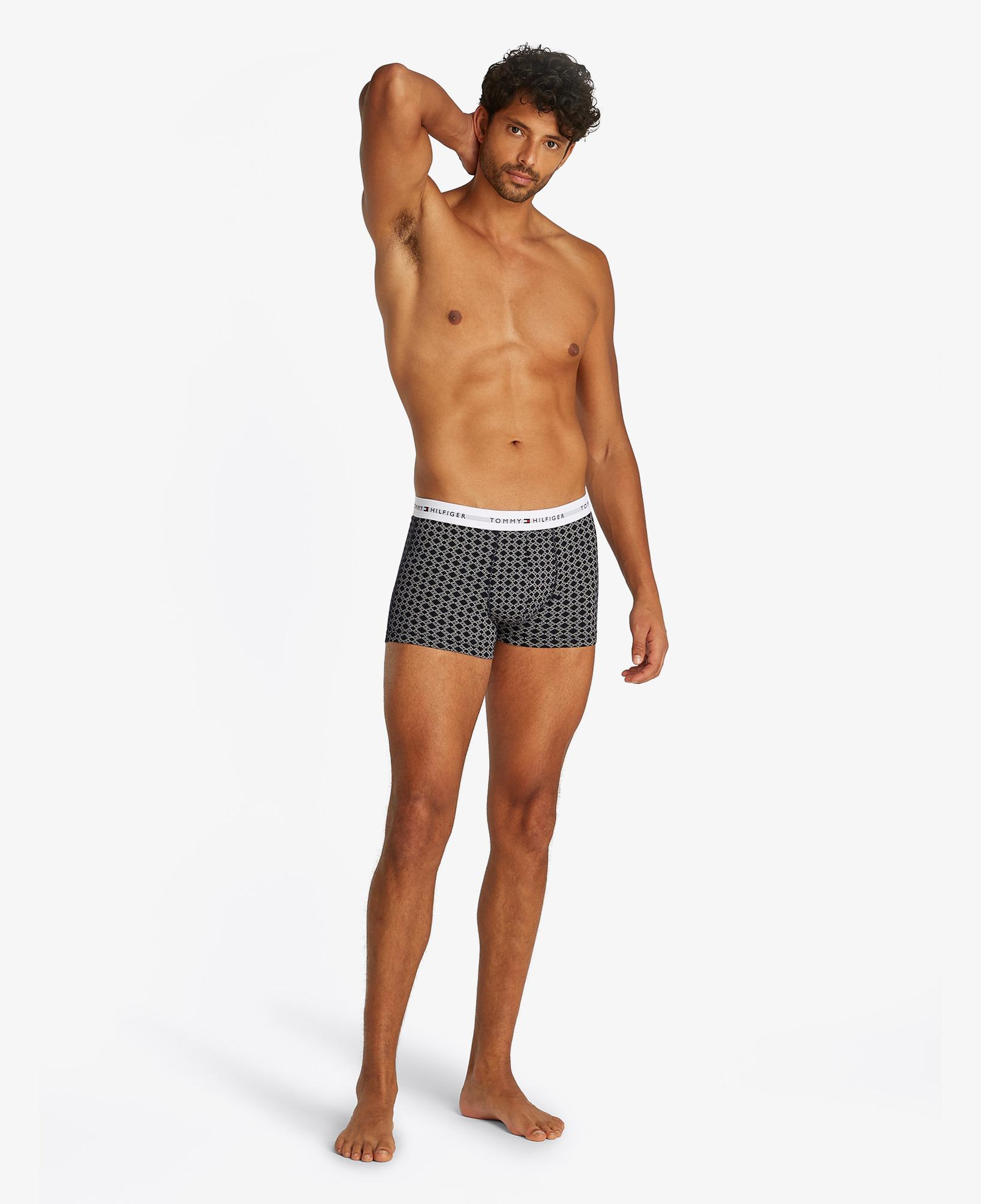 Tommy Hilfiger 3 Parça Trunk Print Erkek Gri/Haki/Lacivert Boxer