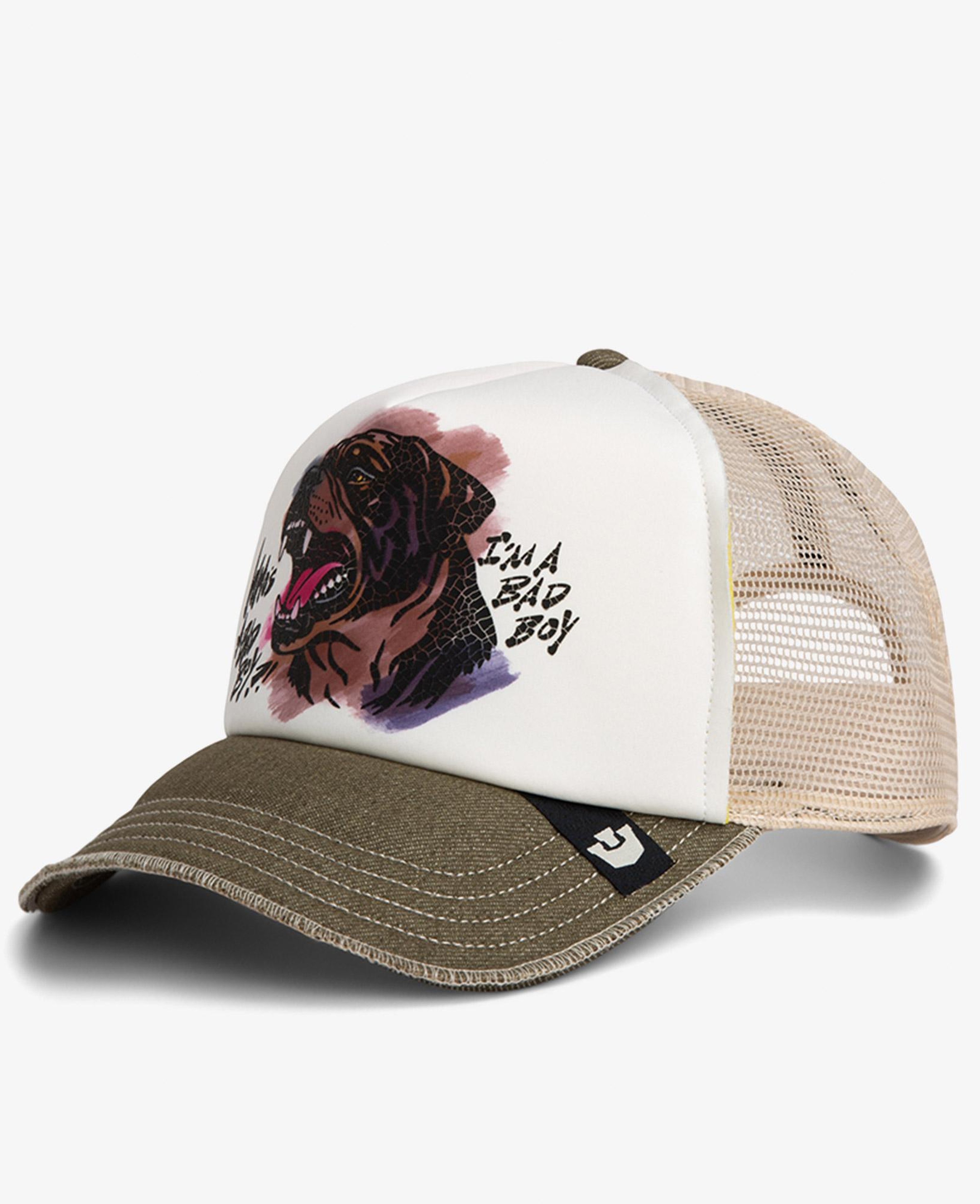 Goorin Bros Bad Boy Disruption Unisex Kahverengi Şapka