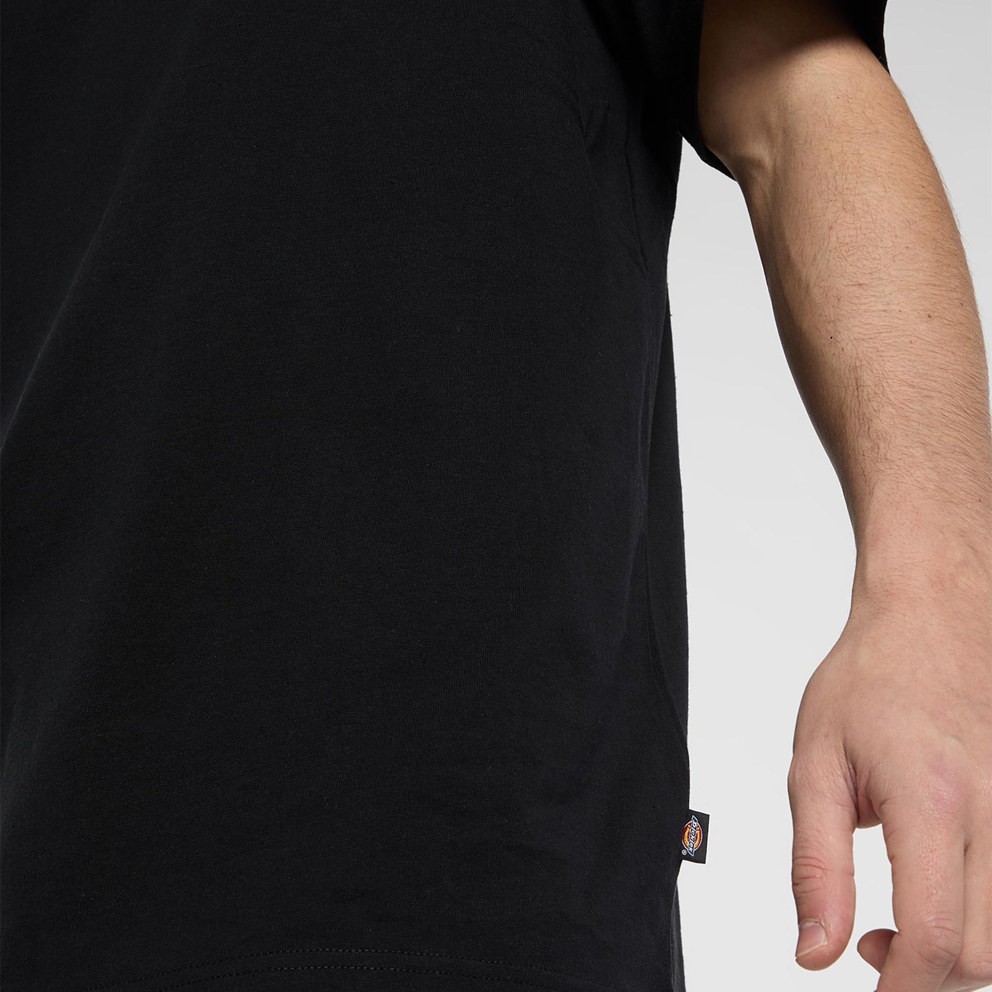 Dickies Vernal Erkek Siyah T-Shirt