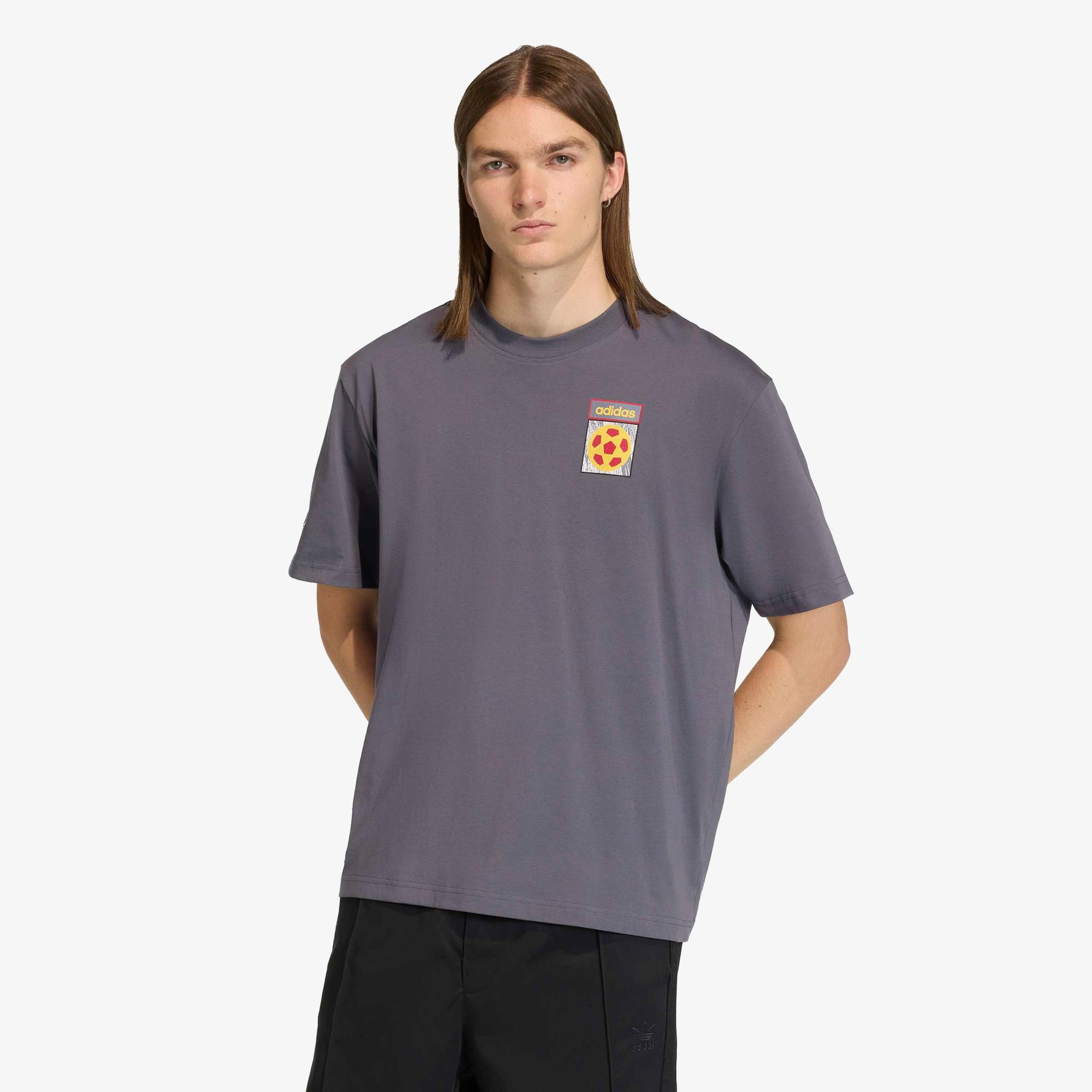 adidas Flag Erkek Gri T-Shirt