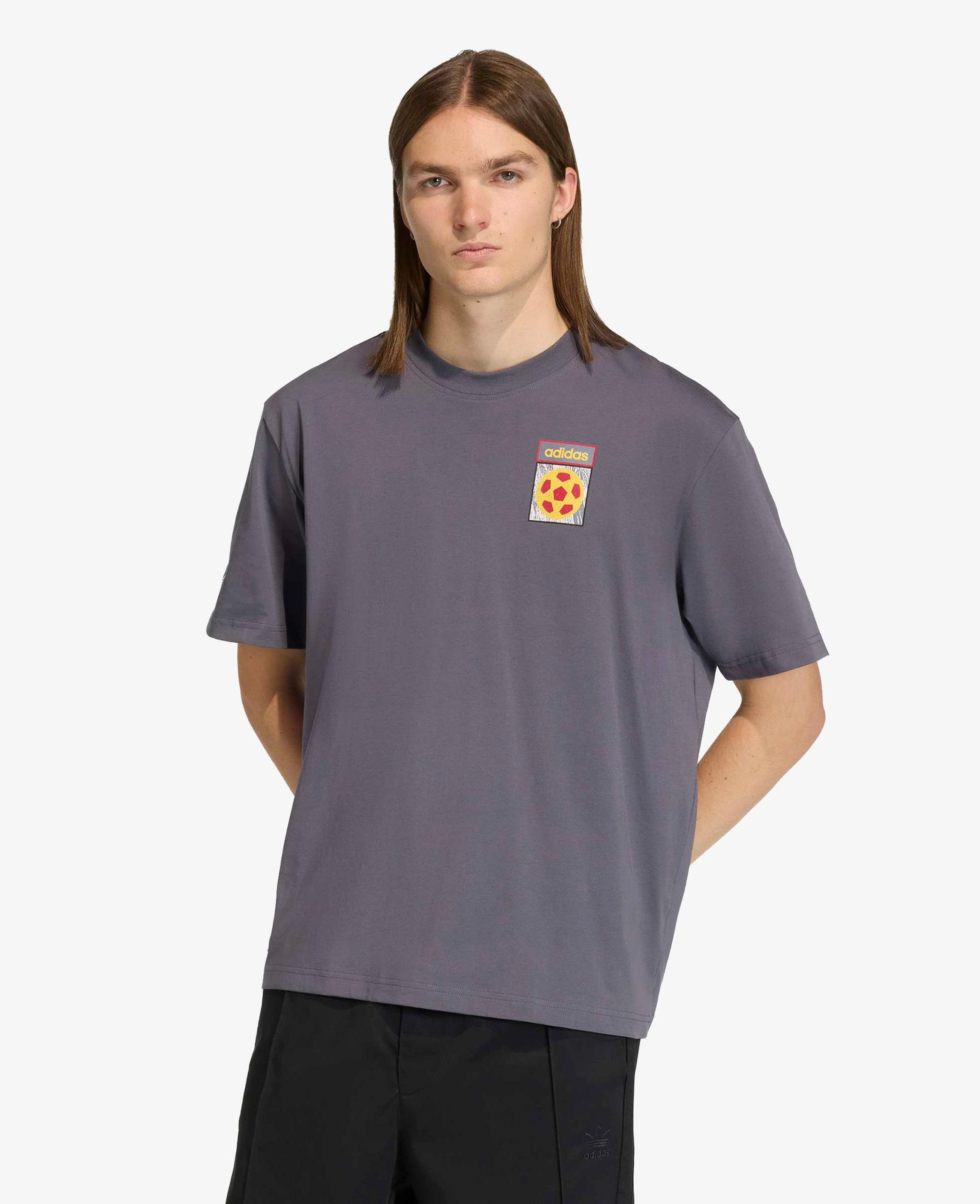 adidas Flag Gfx Erkek Gri T-Shirt