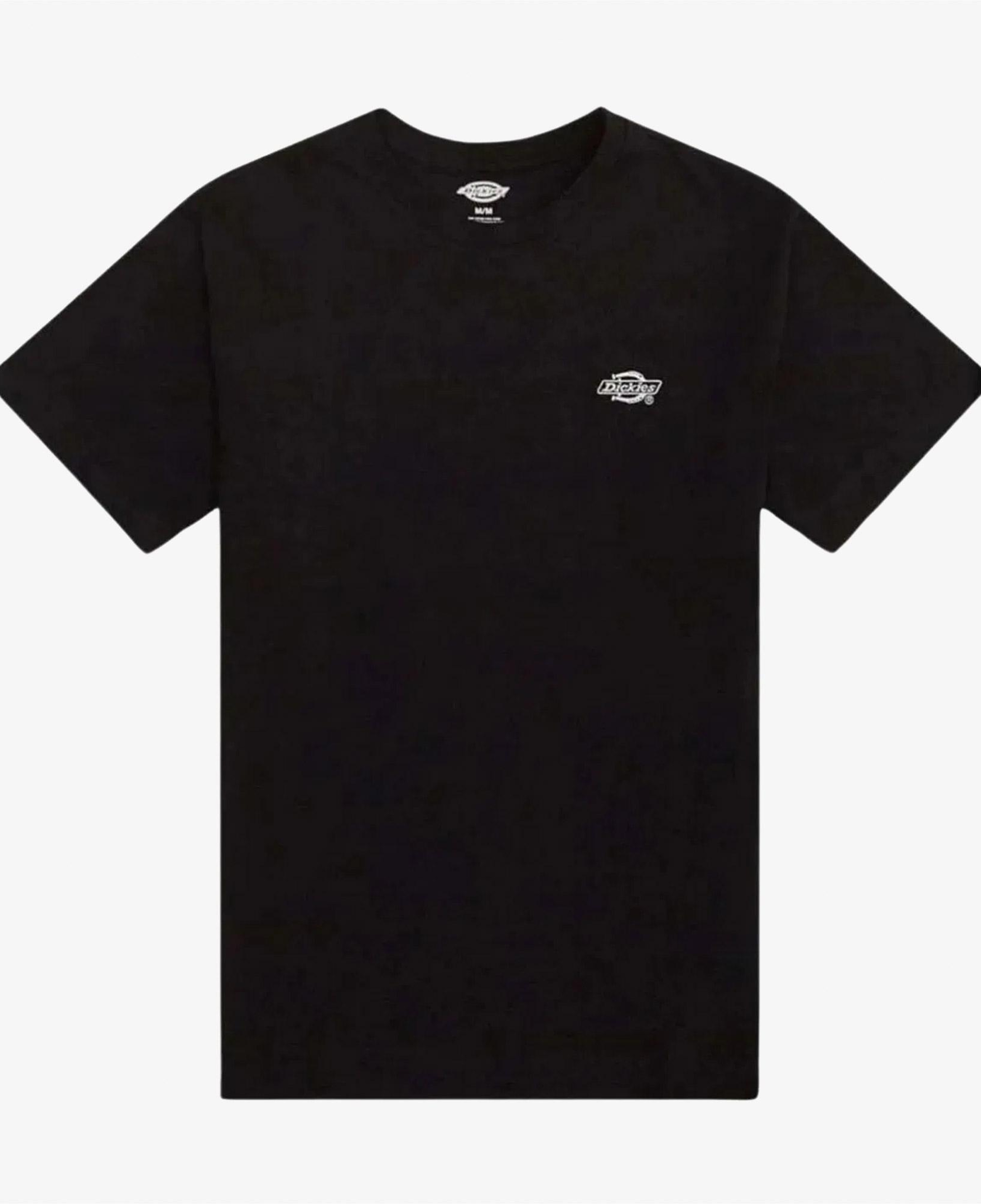 Dickies Summerdale Ss Erkek Siyah T-Shirt