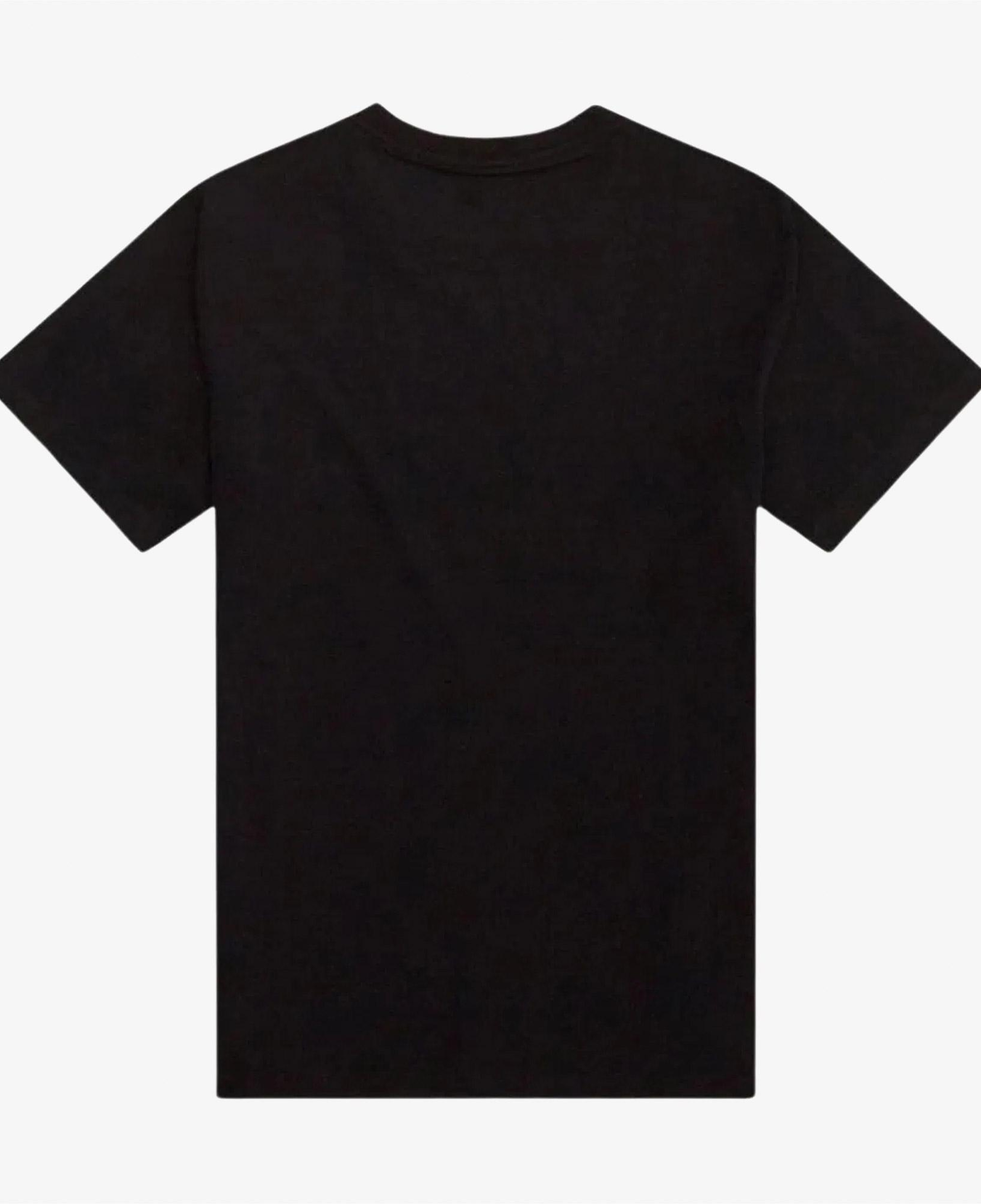Dickies Summerdale Ss Erkek Siyah T-Shirt