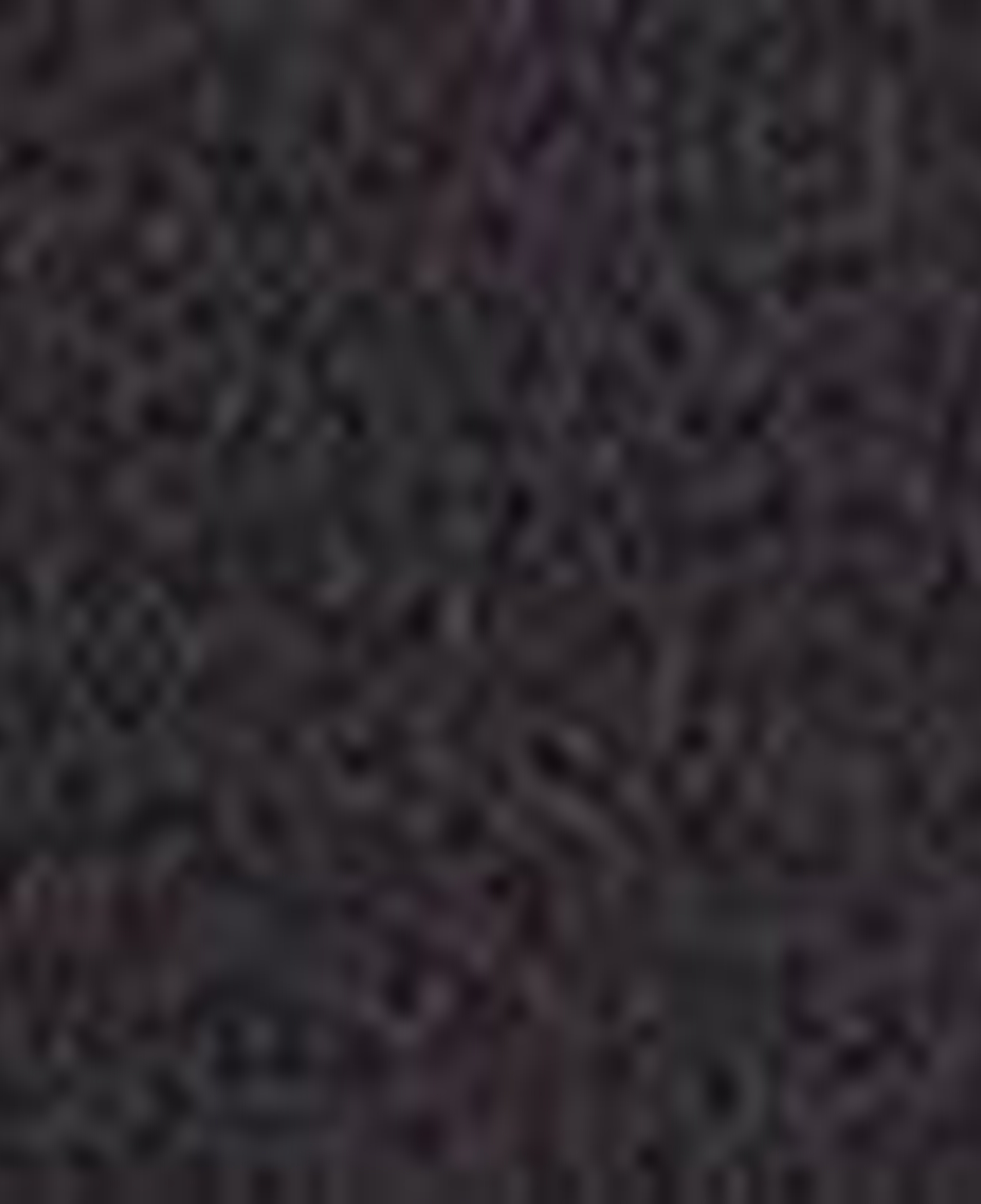 Levis Tumbled Icon Kemer