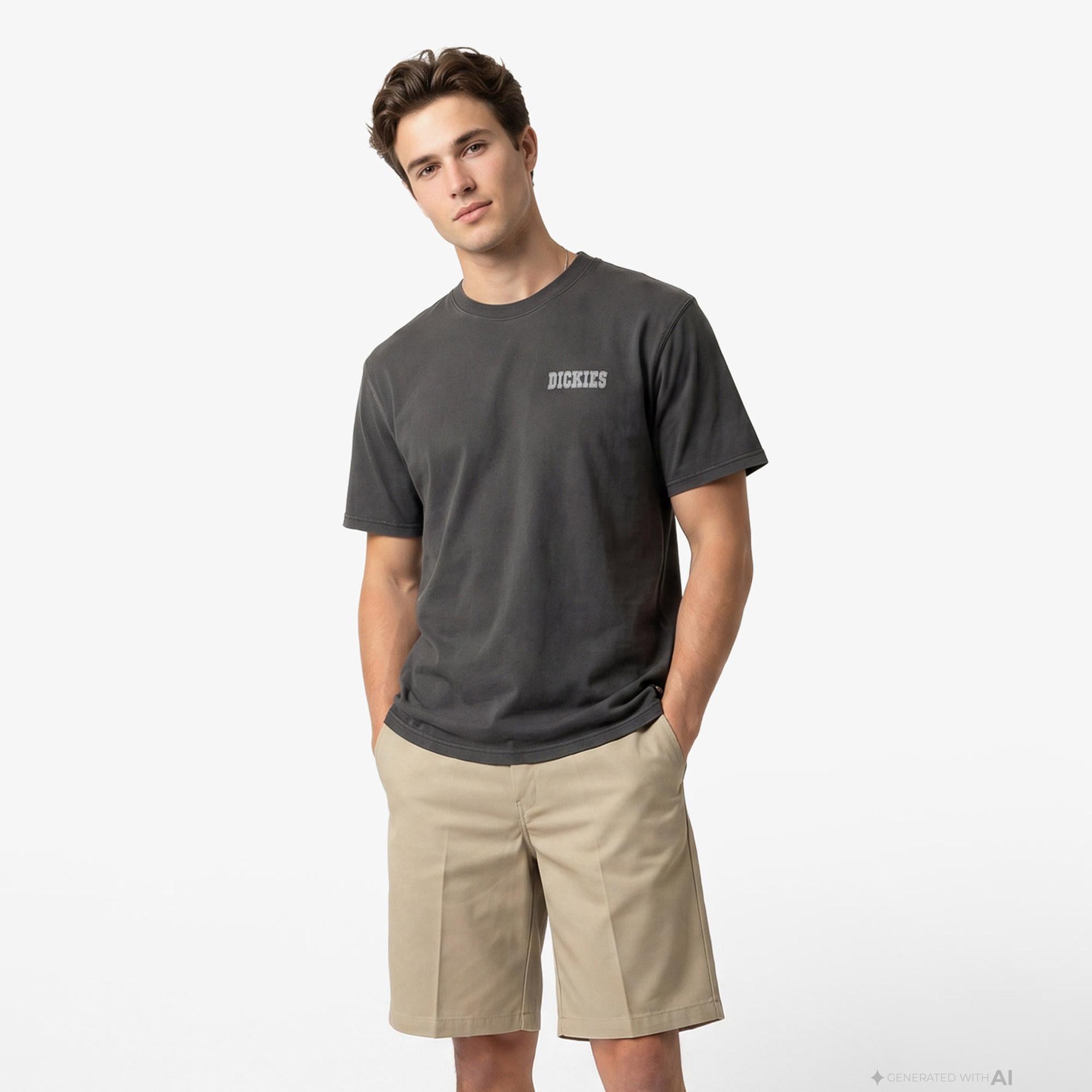 Dickies Buchtell Erkek Siyah T-Shirt