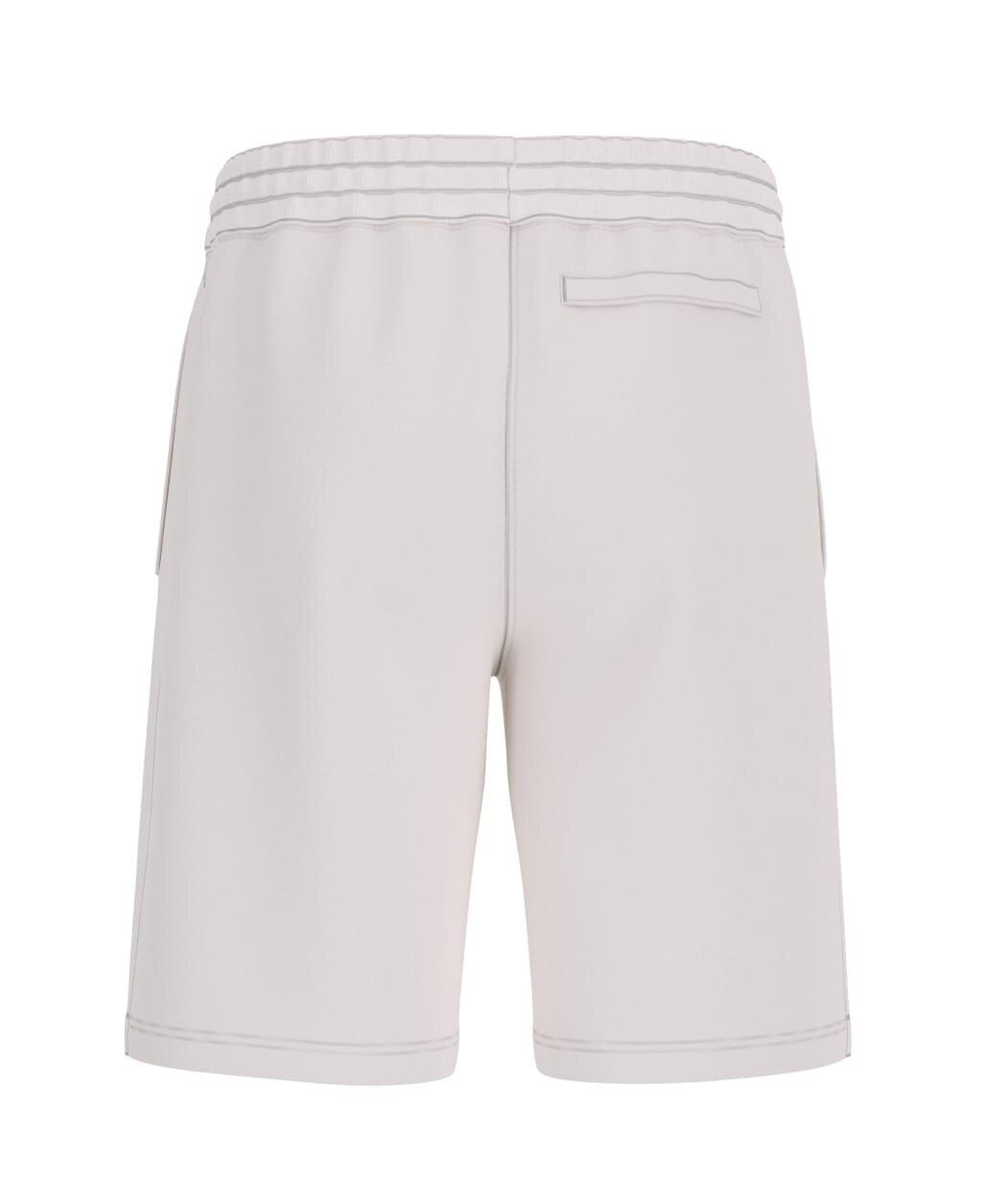 Aldwin Erkek Aktif Slim Fit Şort
