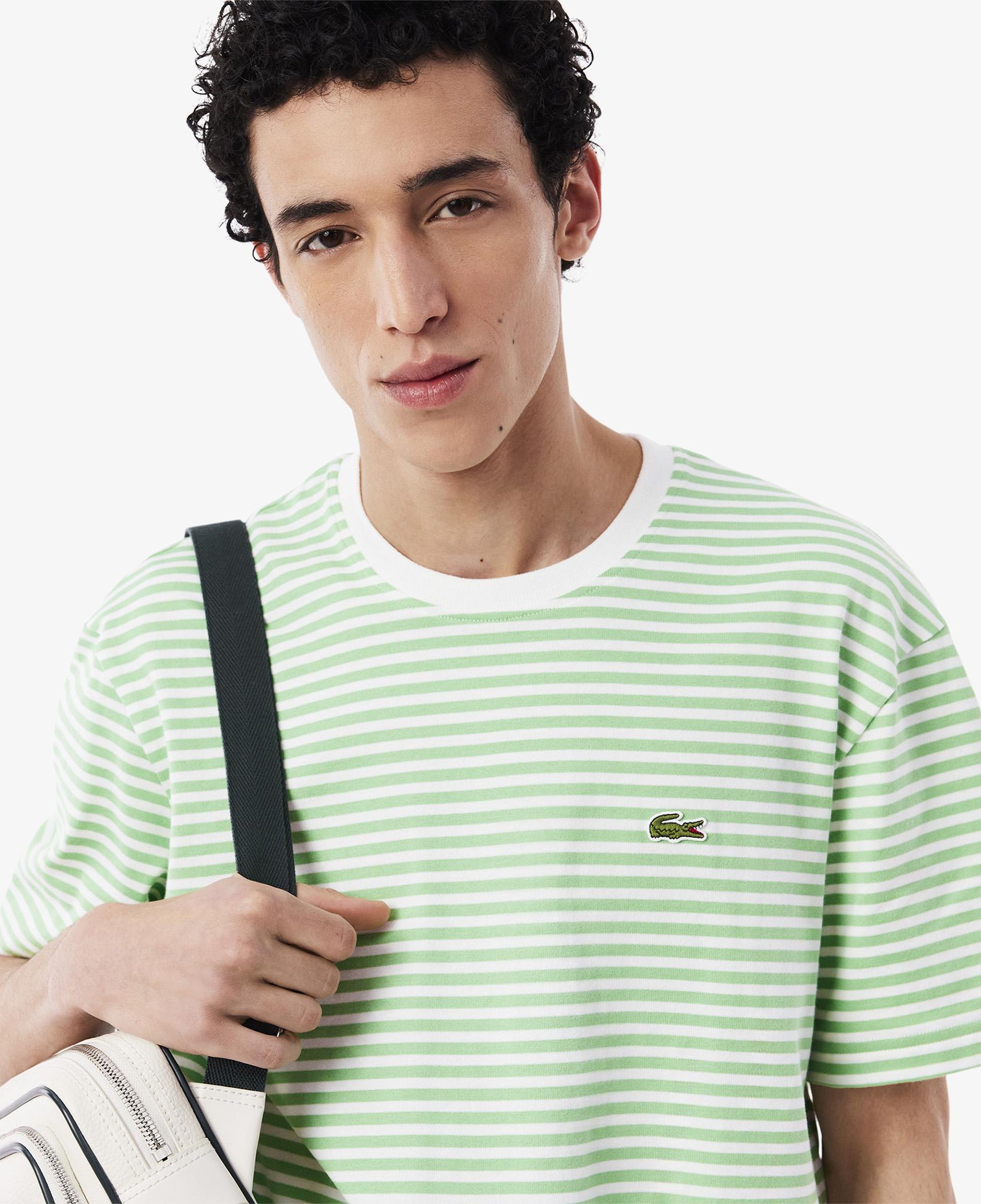 Erkek Classic Fit Bisiklet Yaka Çizgili Açık Yeşil T-Shirt